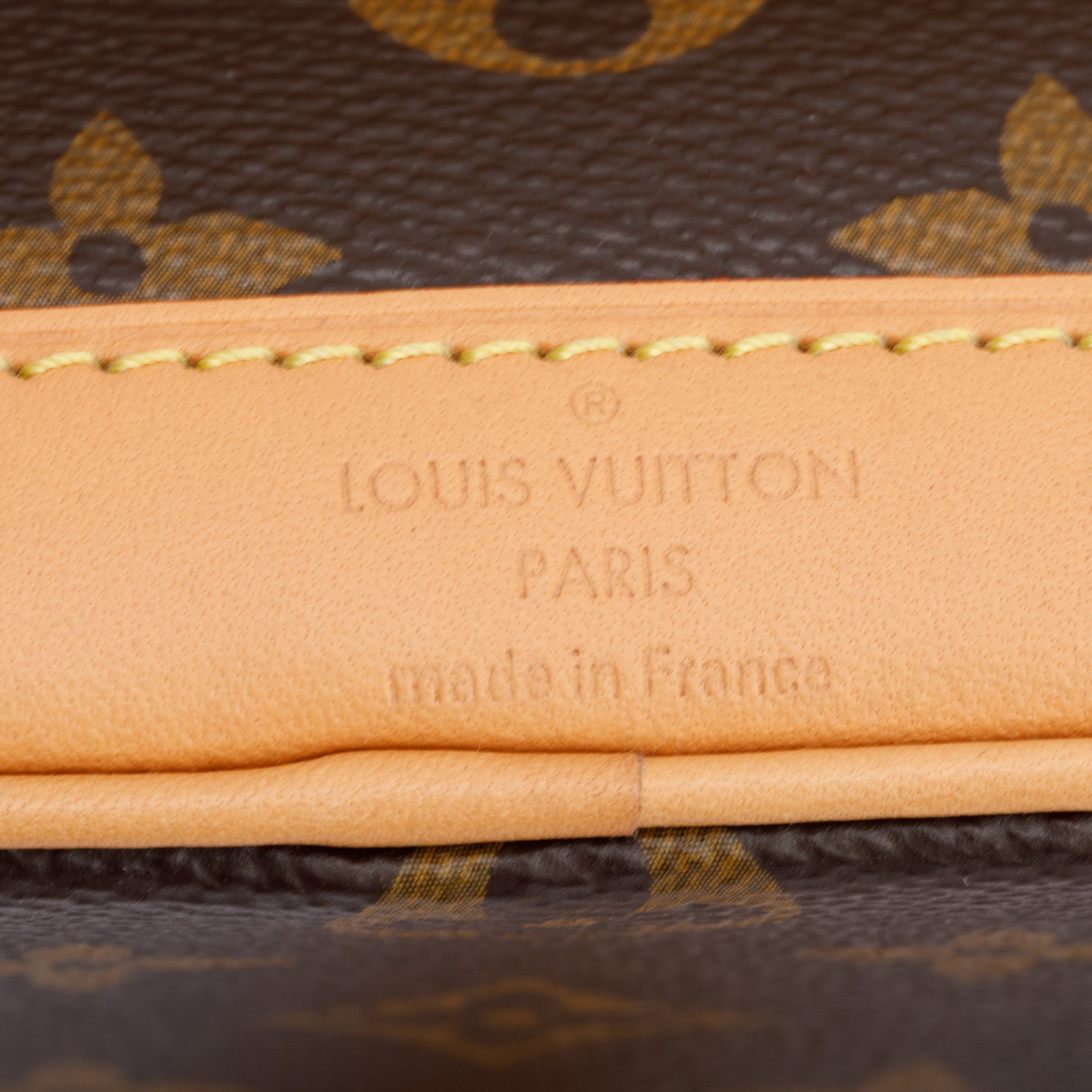 Louis Vuitton Monogram Nano Noe w/ Straps