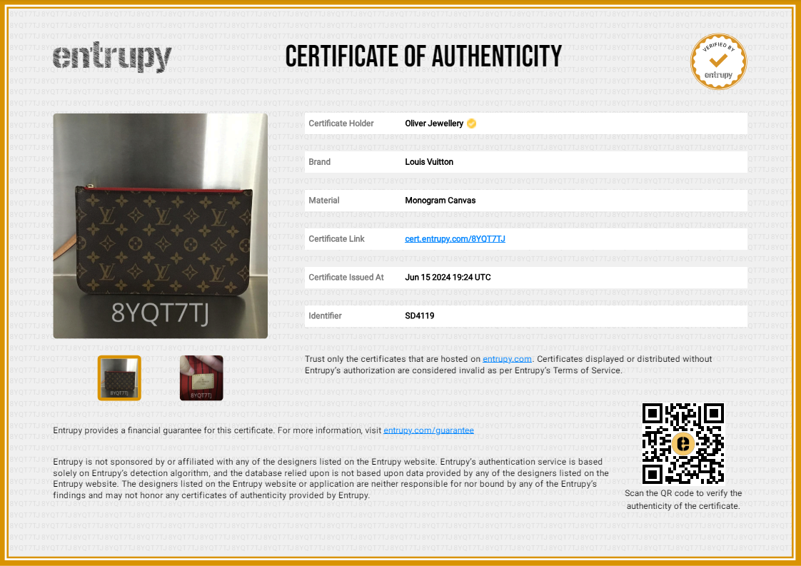 Louis Vuitton Monogram Neverfull Pochette