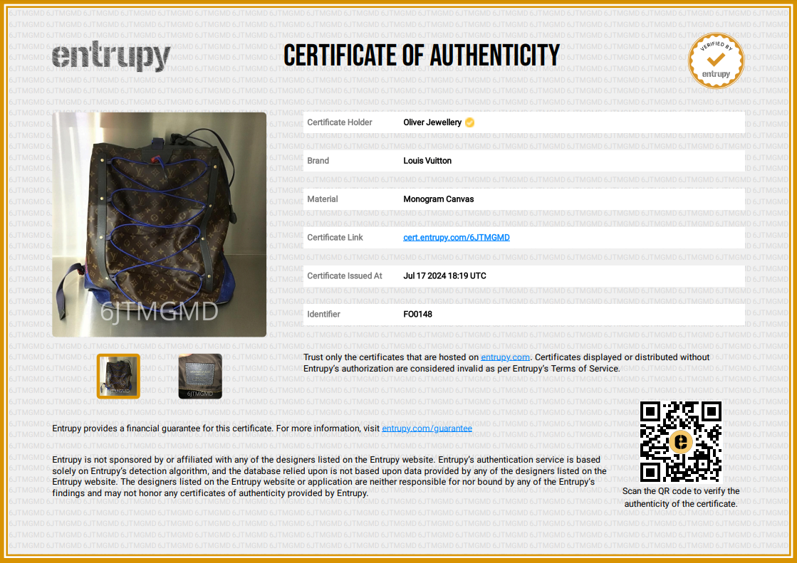 Louis Vuitton Monogram Outdoor Backpack