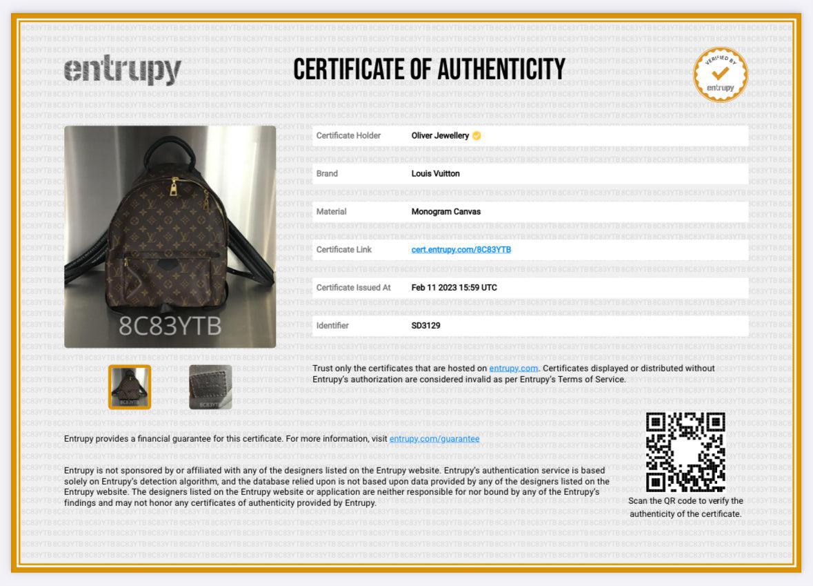 Louis Vuitton Monogram Palm Springs Backpack MM