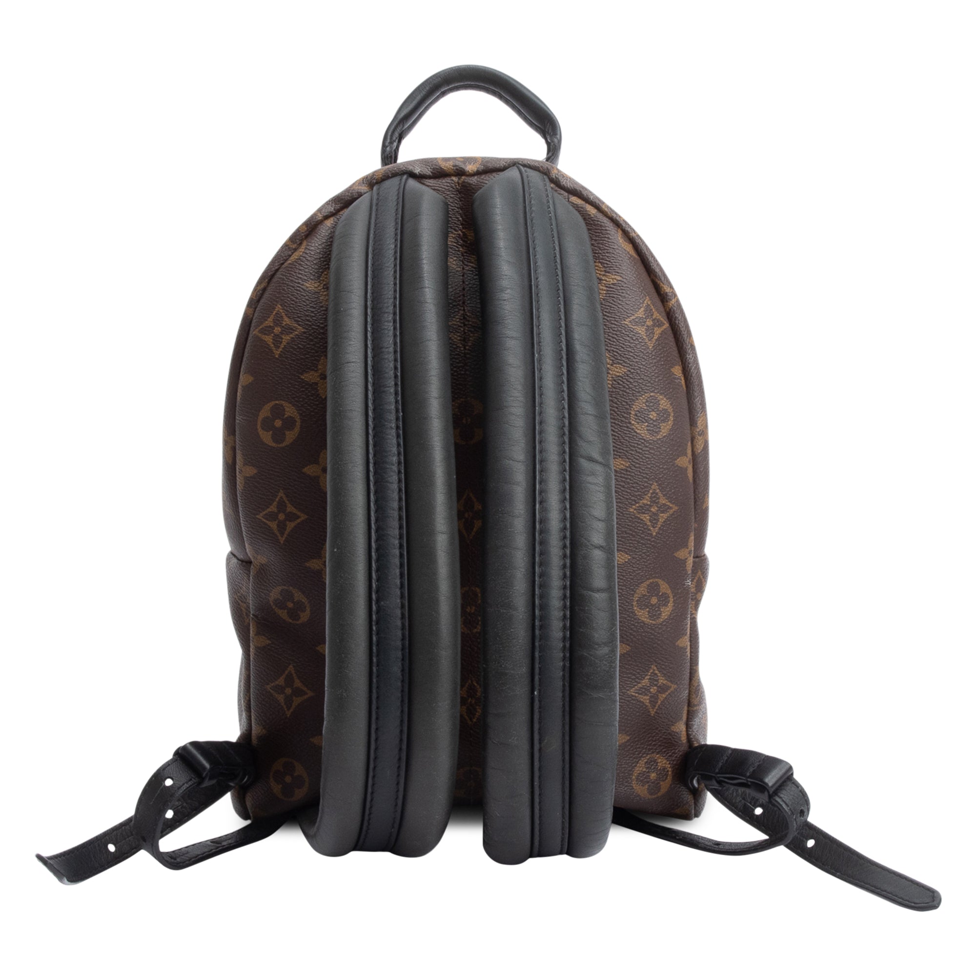 Louis Vuitton Monogram Palm Springs Backpack PM