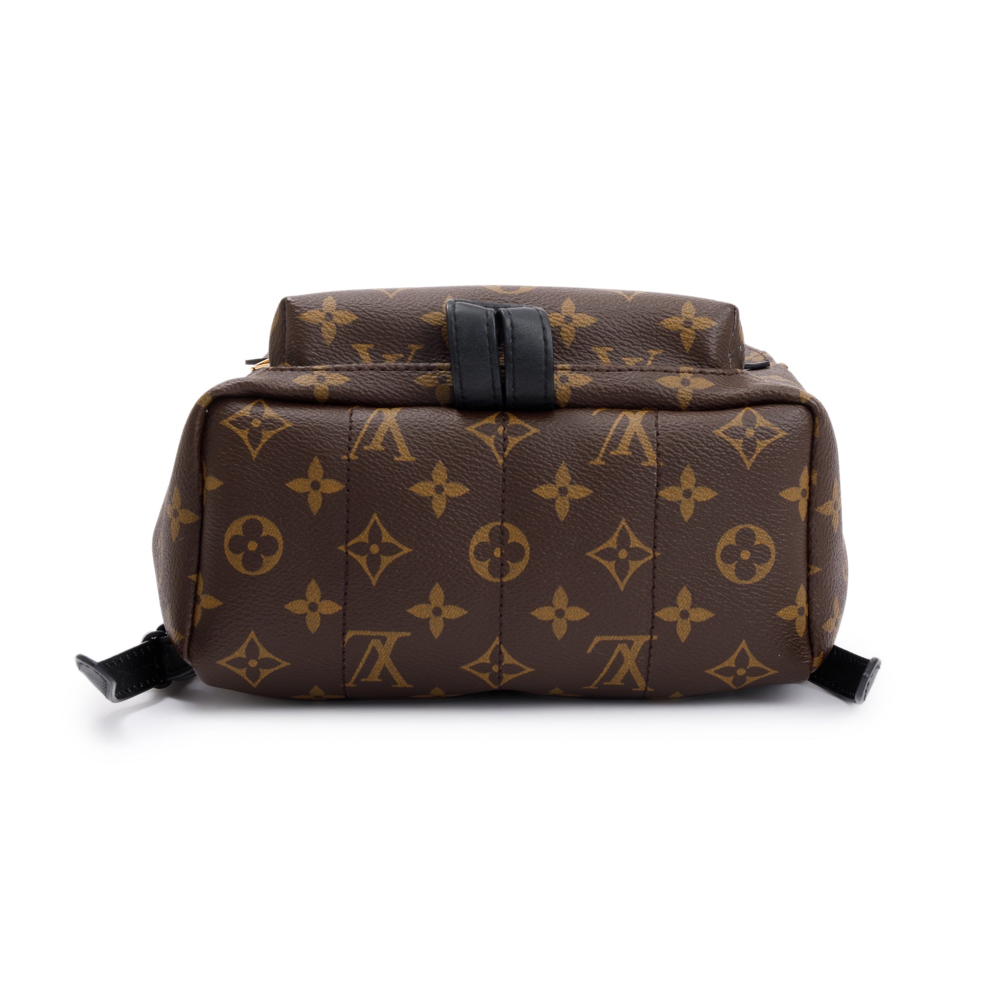 Louis Vuitton Monogram Palm Springs Backpack PM