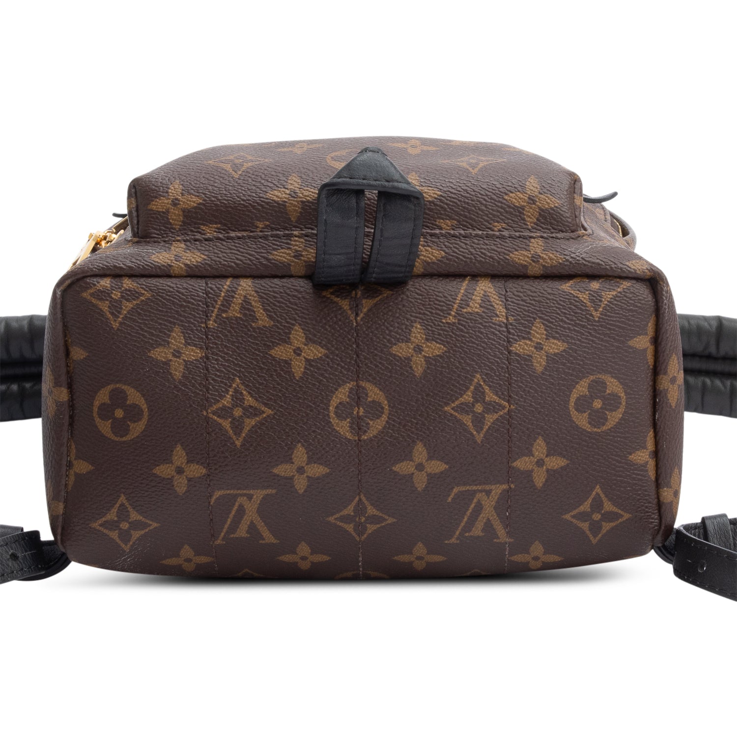Louis Vuitton Monogram Palm Springs Backpack PM