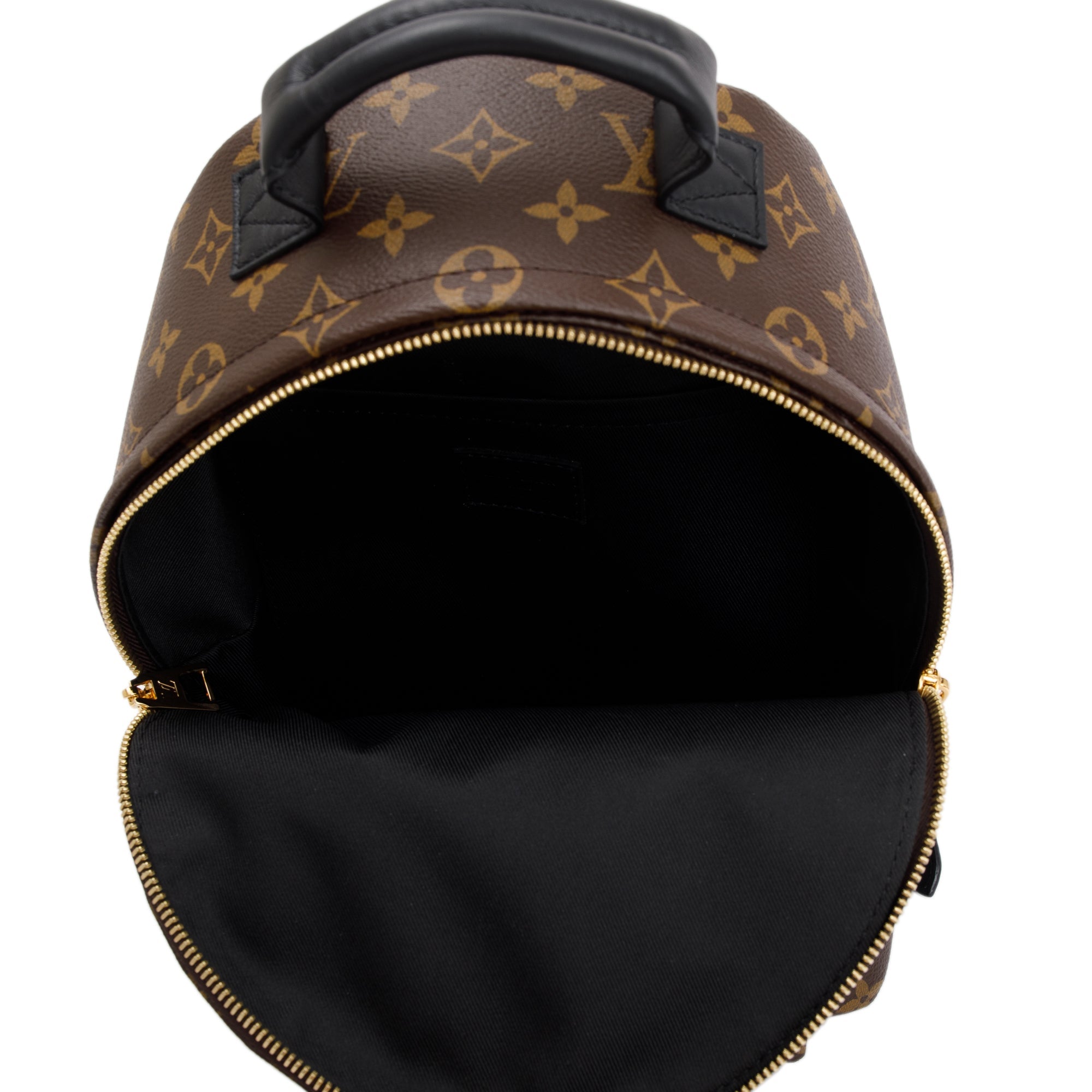Louis Vuitton Monogram Palm Springs Backpack PM