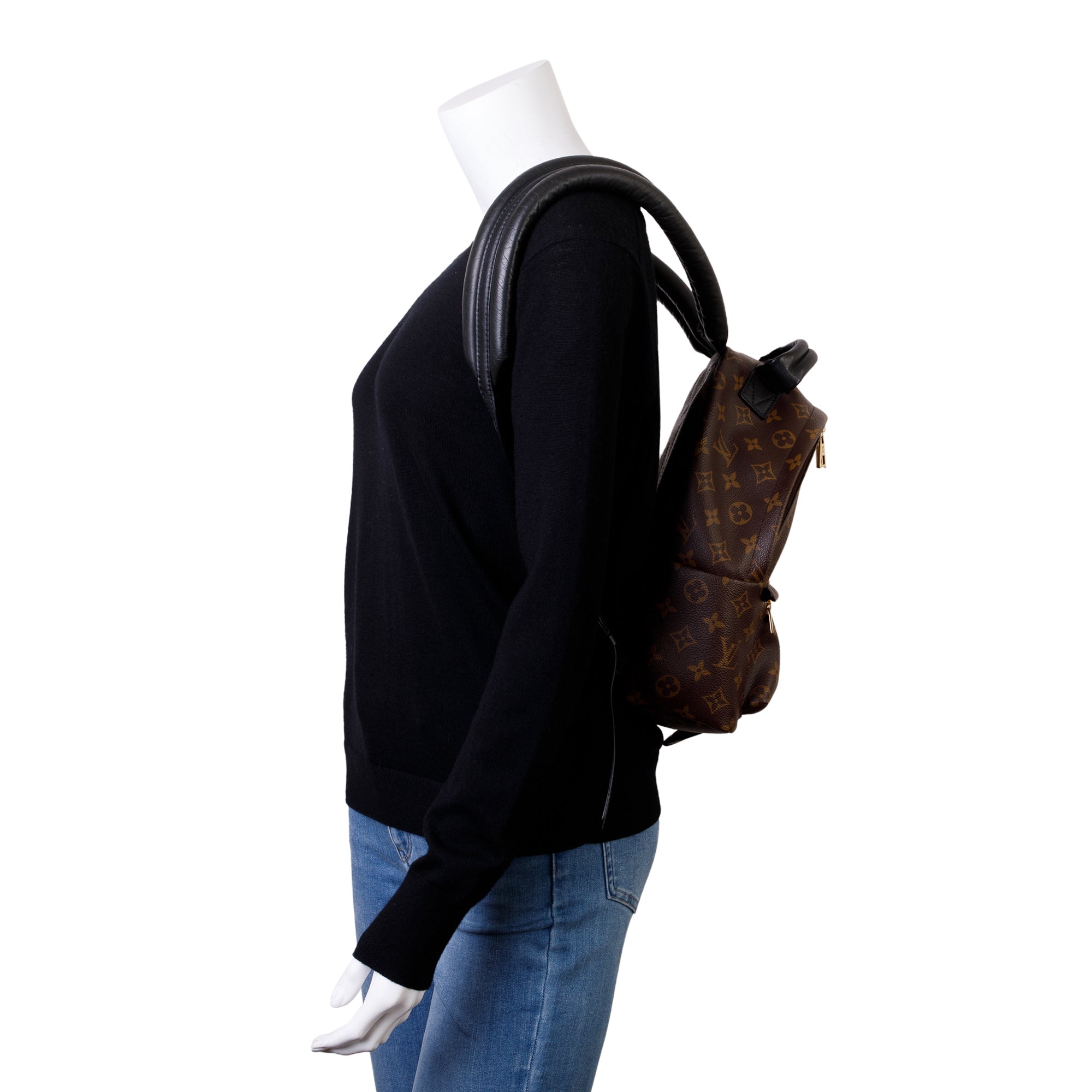 Louis Vuitton Monogram Palm Springs Backpack PM w/ Box