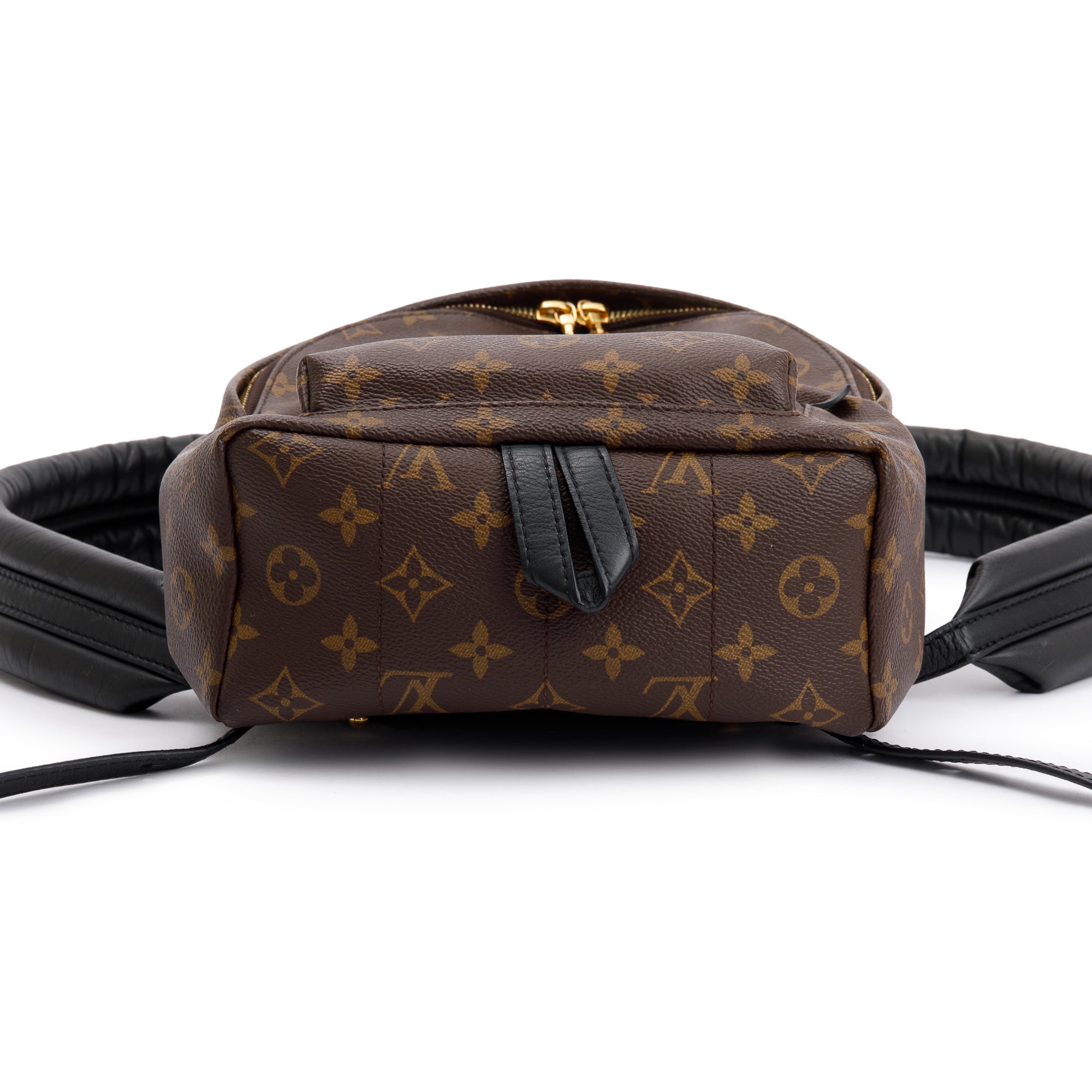 Louis Vuitton Monogram Palm Springs Backpack PM w/ Box