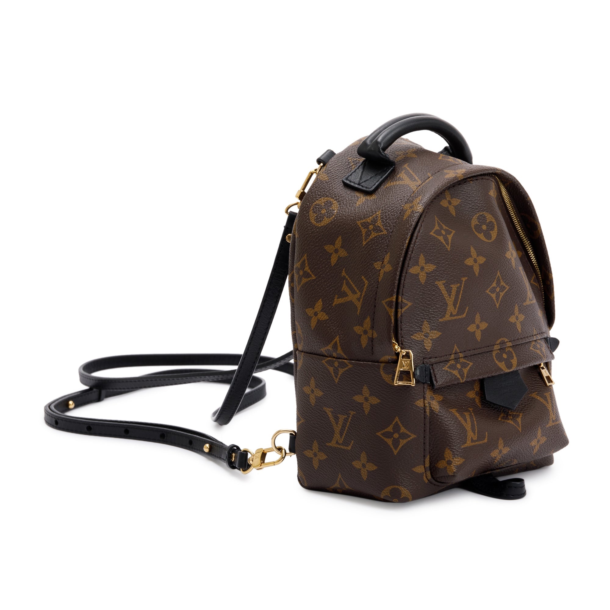 Louis Vuitton Monogram Palm Springs Mini Backpack