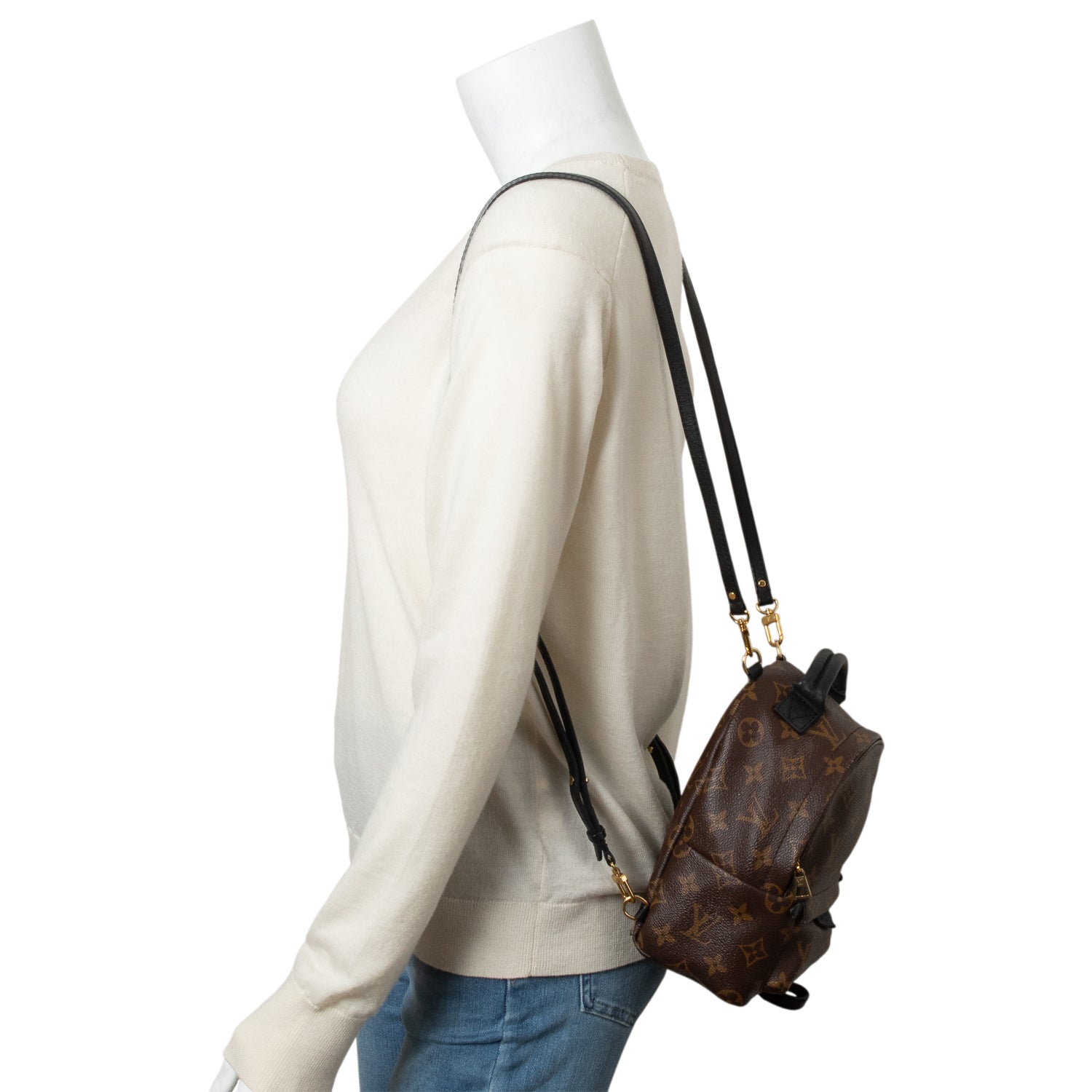 Louis Vuitton Monogram Palm Springs Mini Backpack