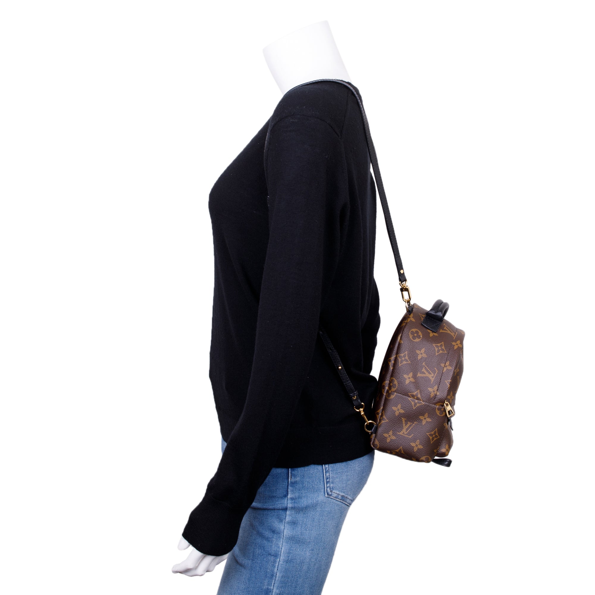 Louis Vuitton Monogram Palm Springs Mini Backpack