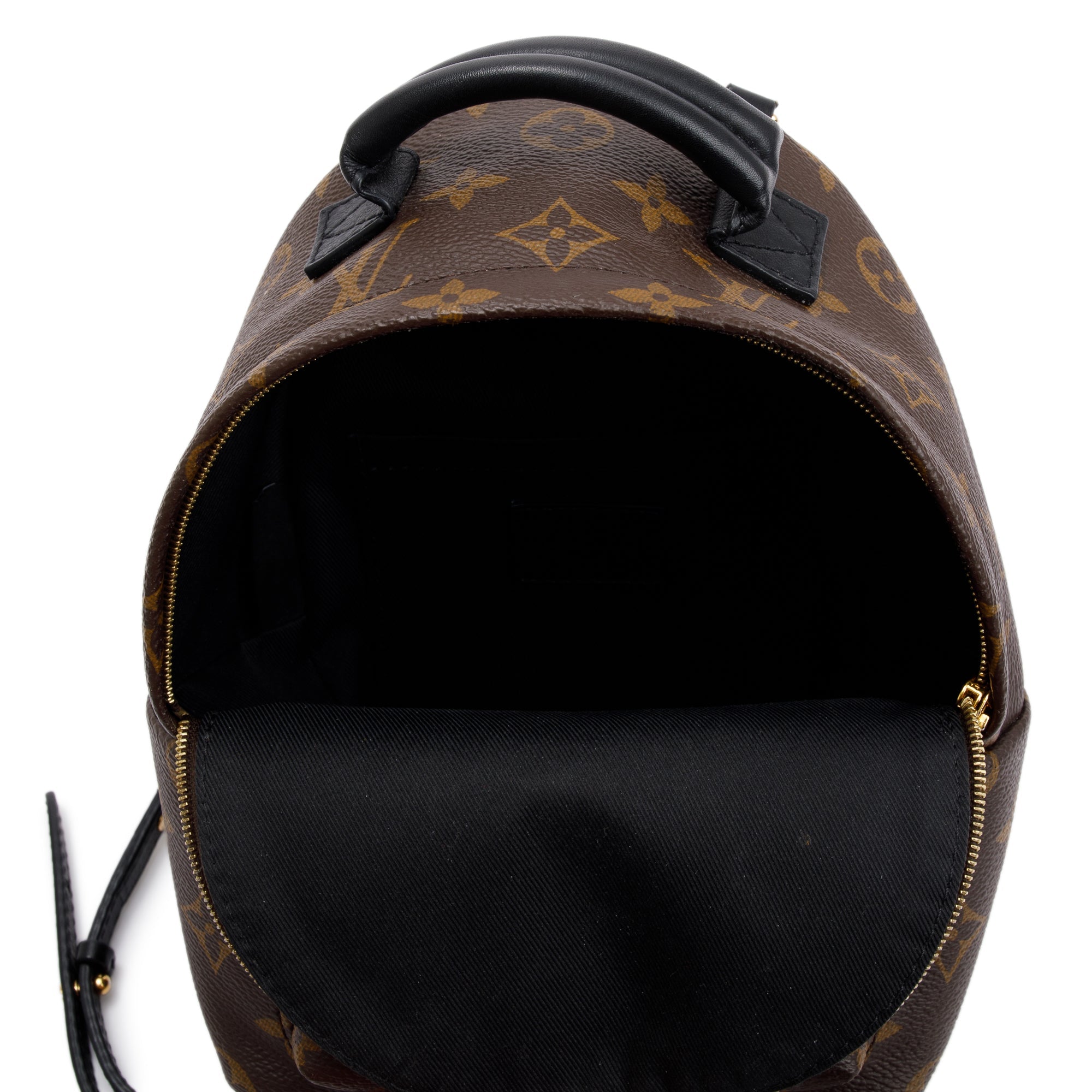 Louis Vuitton Monogram Palm Springs Mini Backpack
