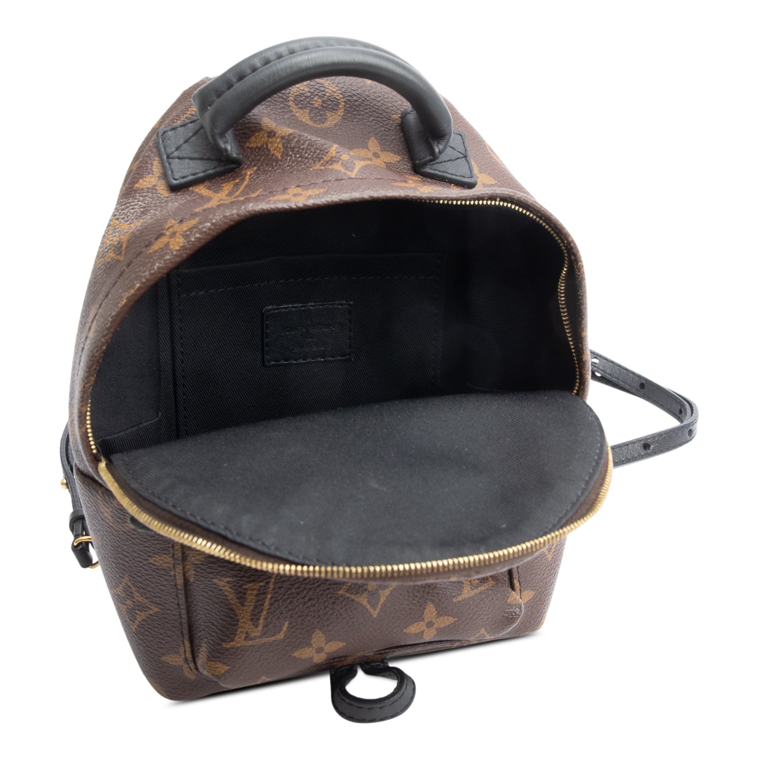 Louis Vuitton Monogram Palm Springs Mini Backpack