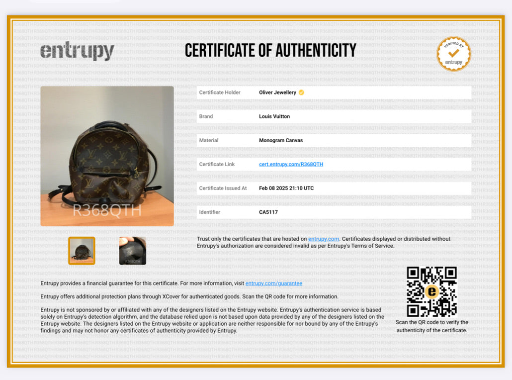 Louis Vuitton Monogram Palm Springs Mini Backpack