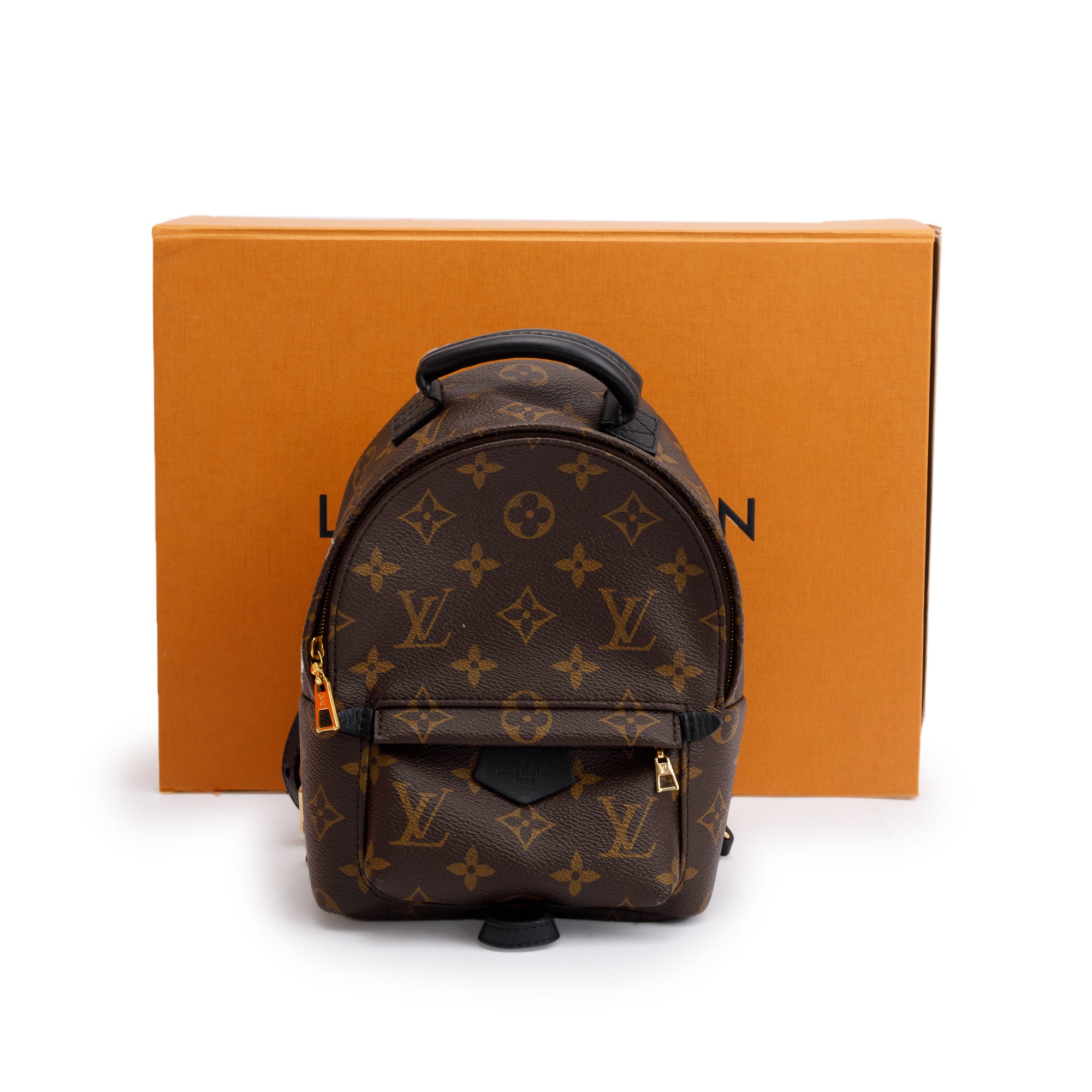 Louis Vuitton Monogram Palm Springs Mini Backpack w/ Box