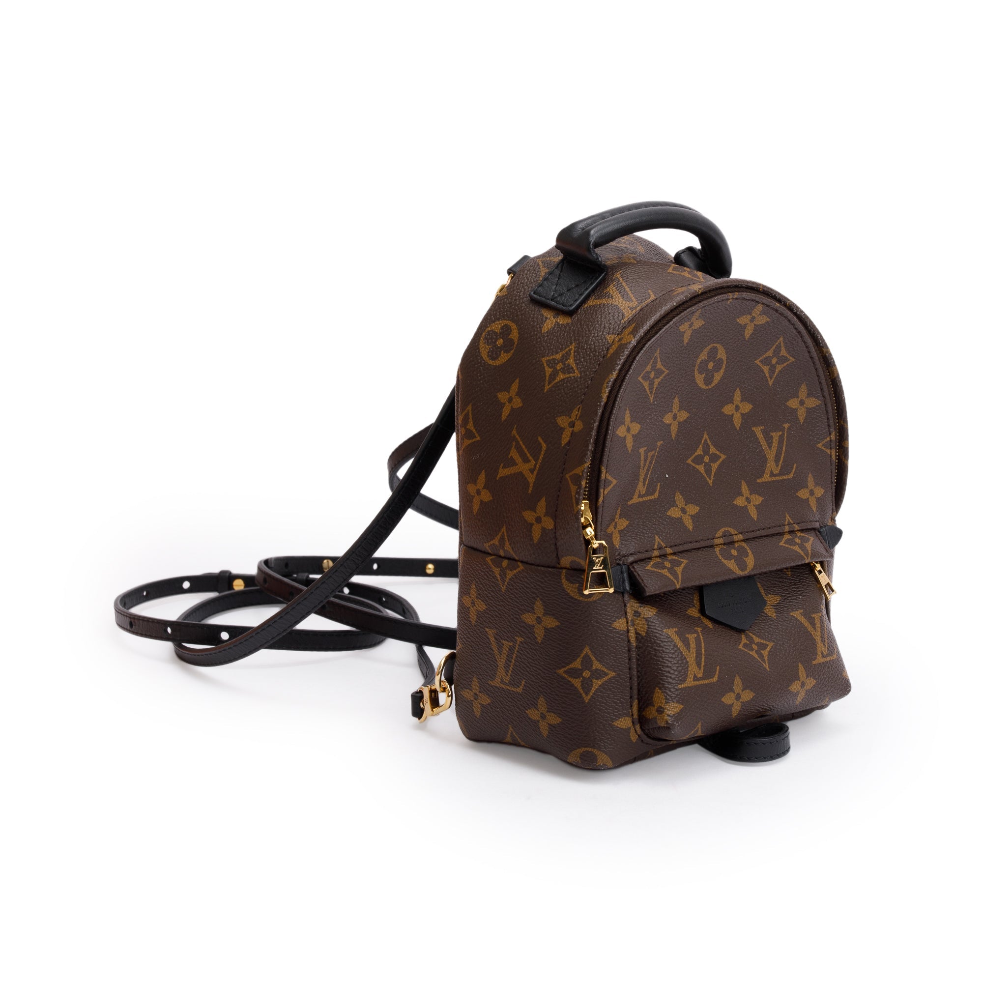 Louis Vuitton Monogram Palm Springs Mini Backpack w/ Box