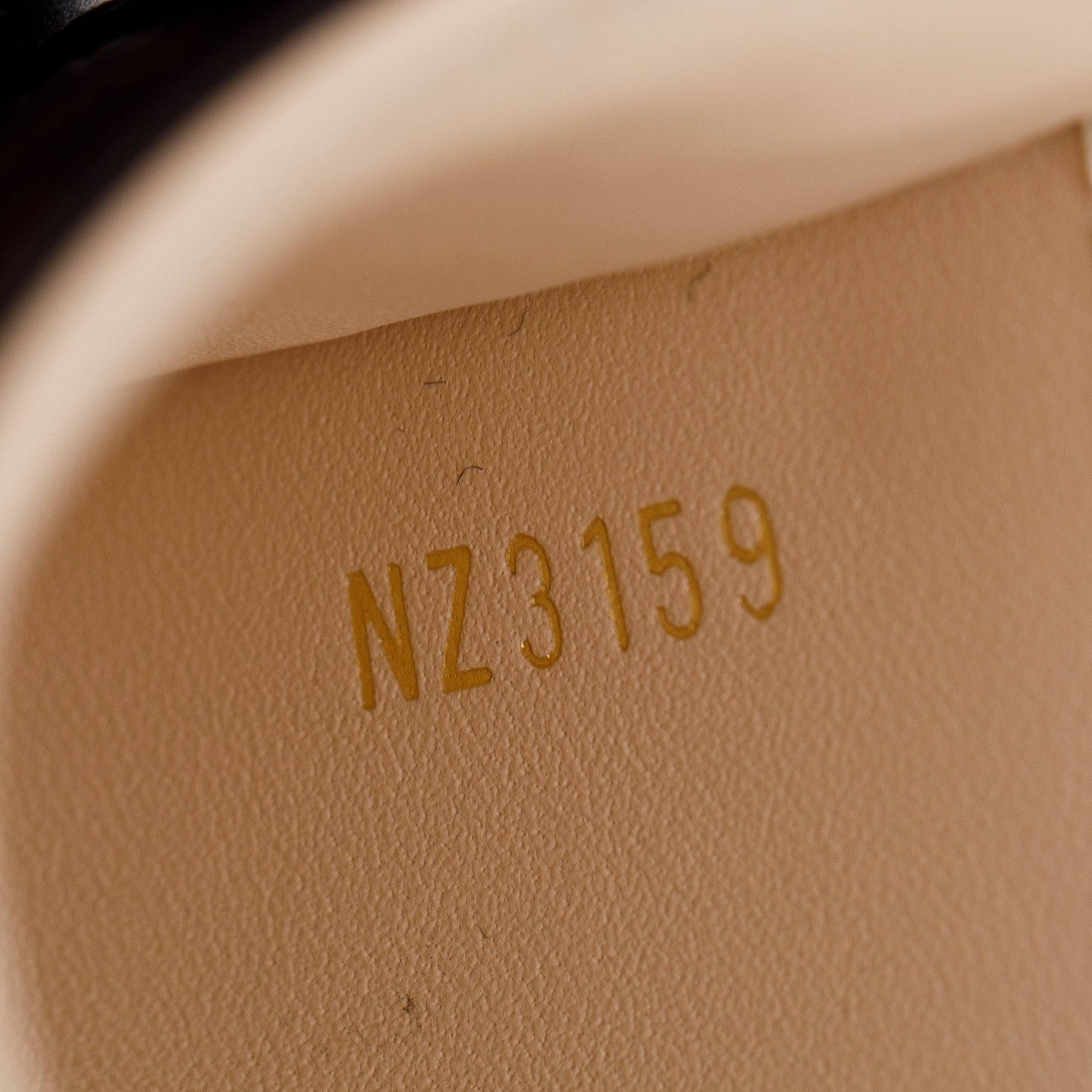 Louis Vuitton Monogram Pochette Trunk Verticale w/ Strap