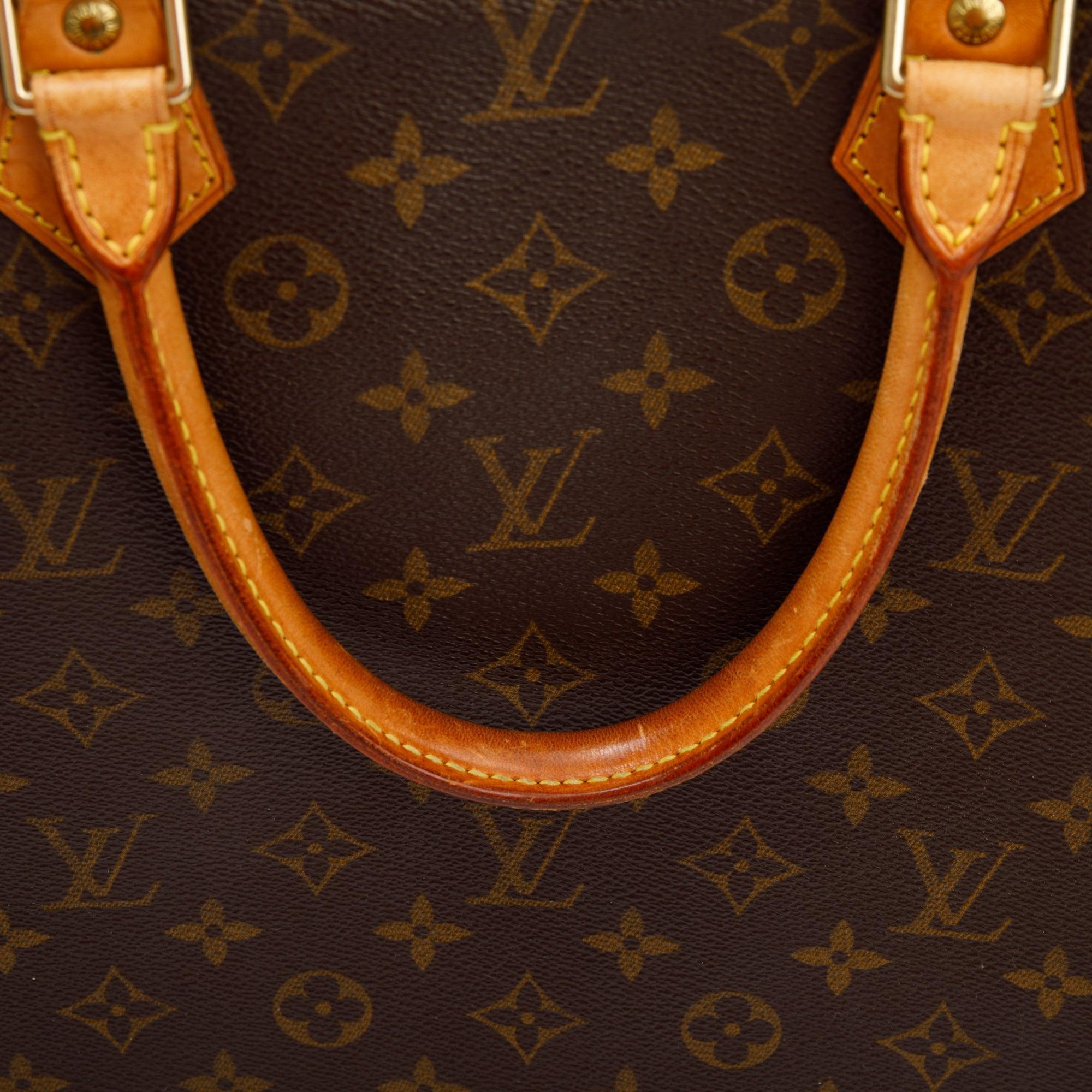Louis Vuitton Monogram Sac Plat Tote