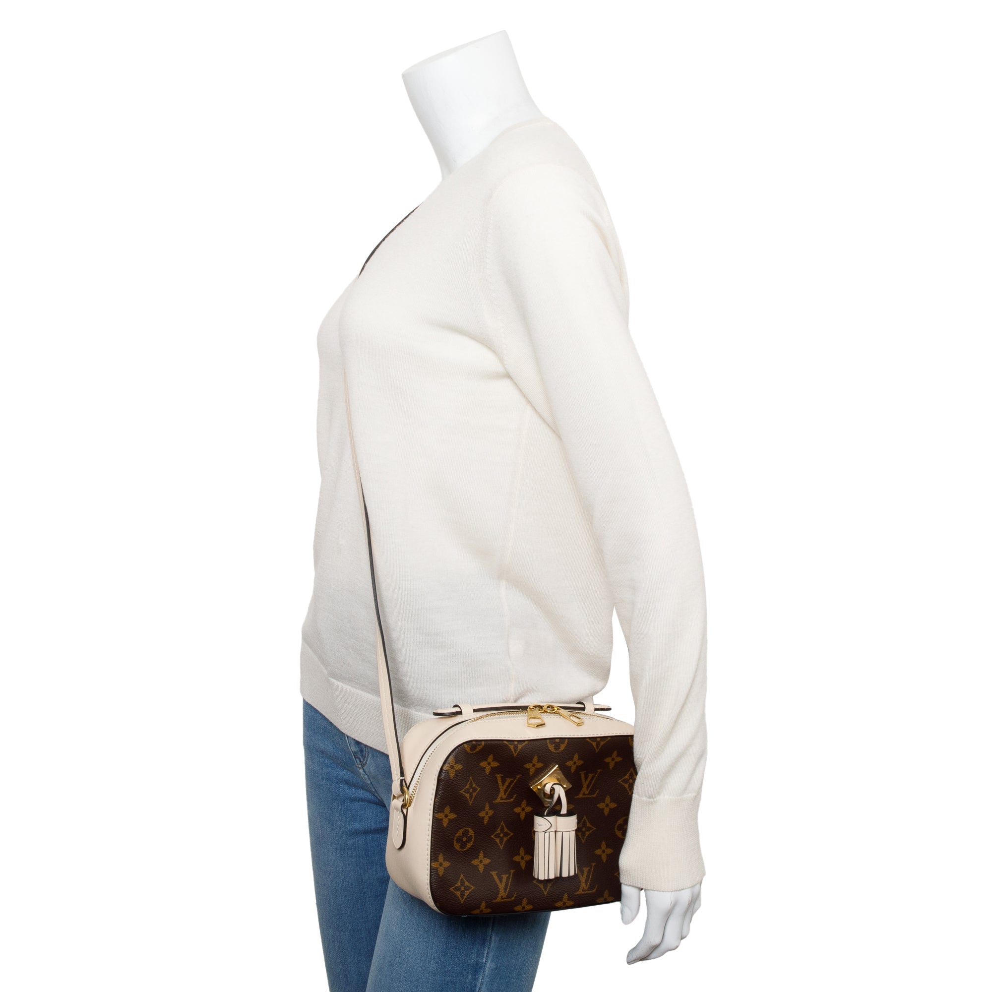 Louis Vuitton Monogram Saintonge Bag