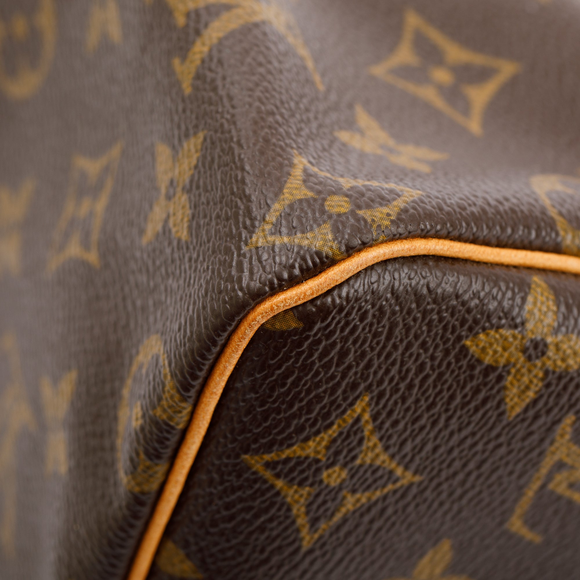 Louis Vuitton Monogram Speedy 25