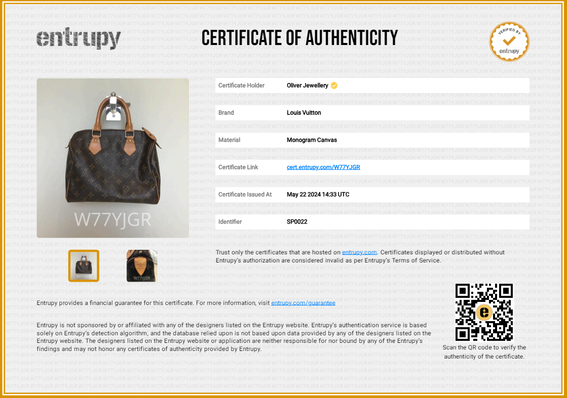 Louis Vuitton Monogram Speedy 25