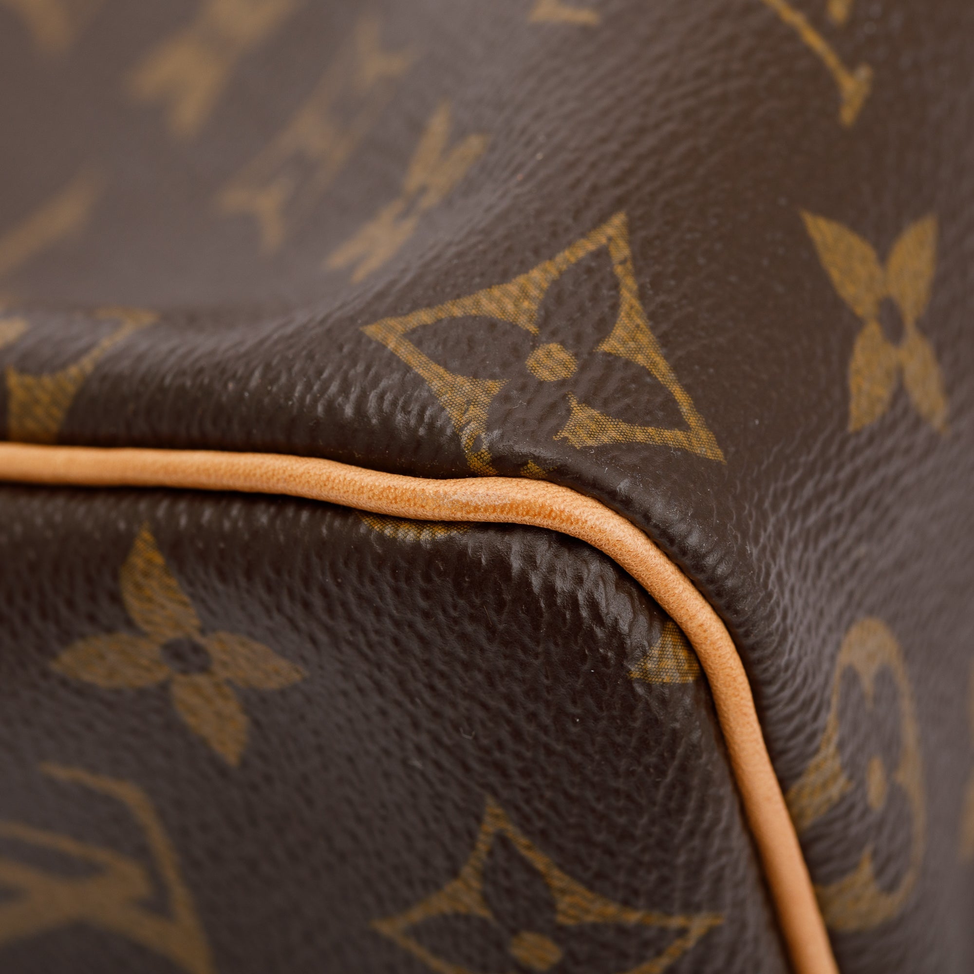 Louis Vuitton Monogram Speedy 25