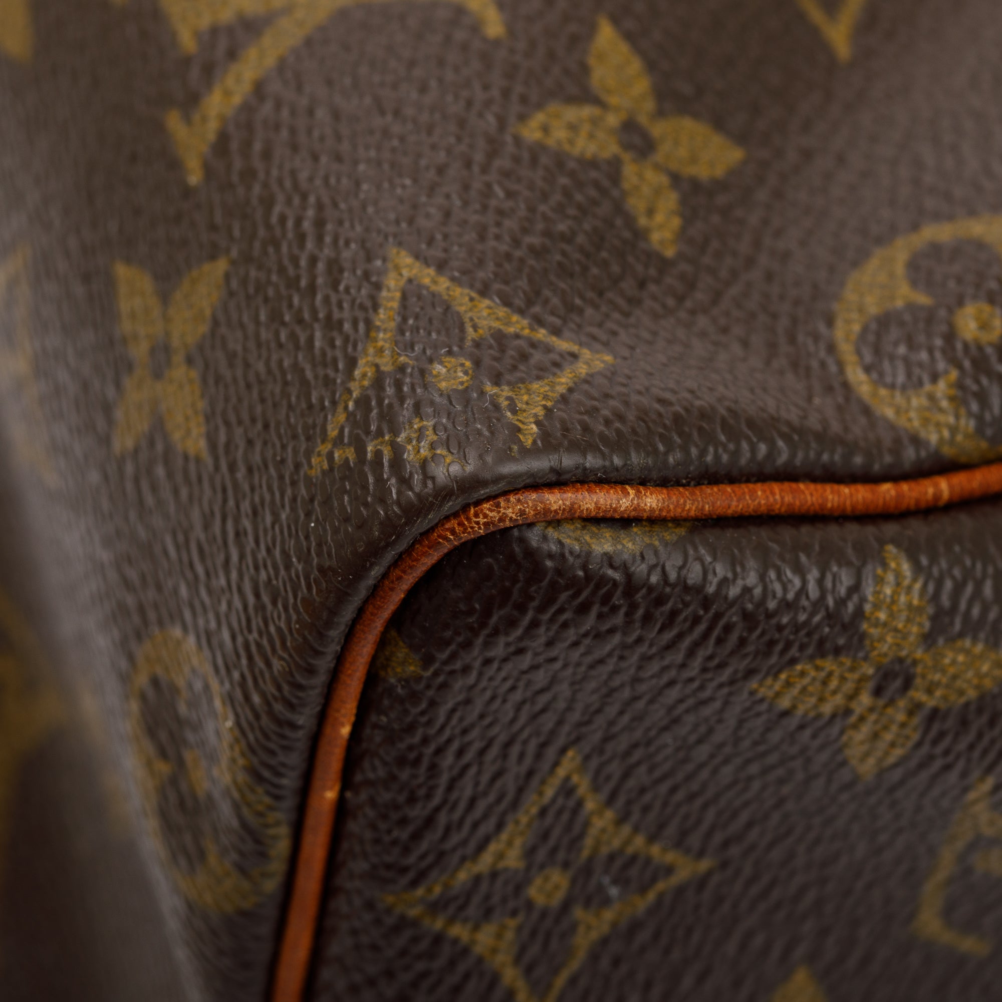 Louis Vuitton Monogram Speedy 25