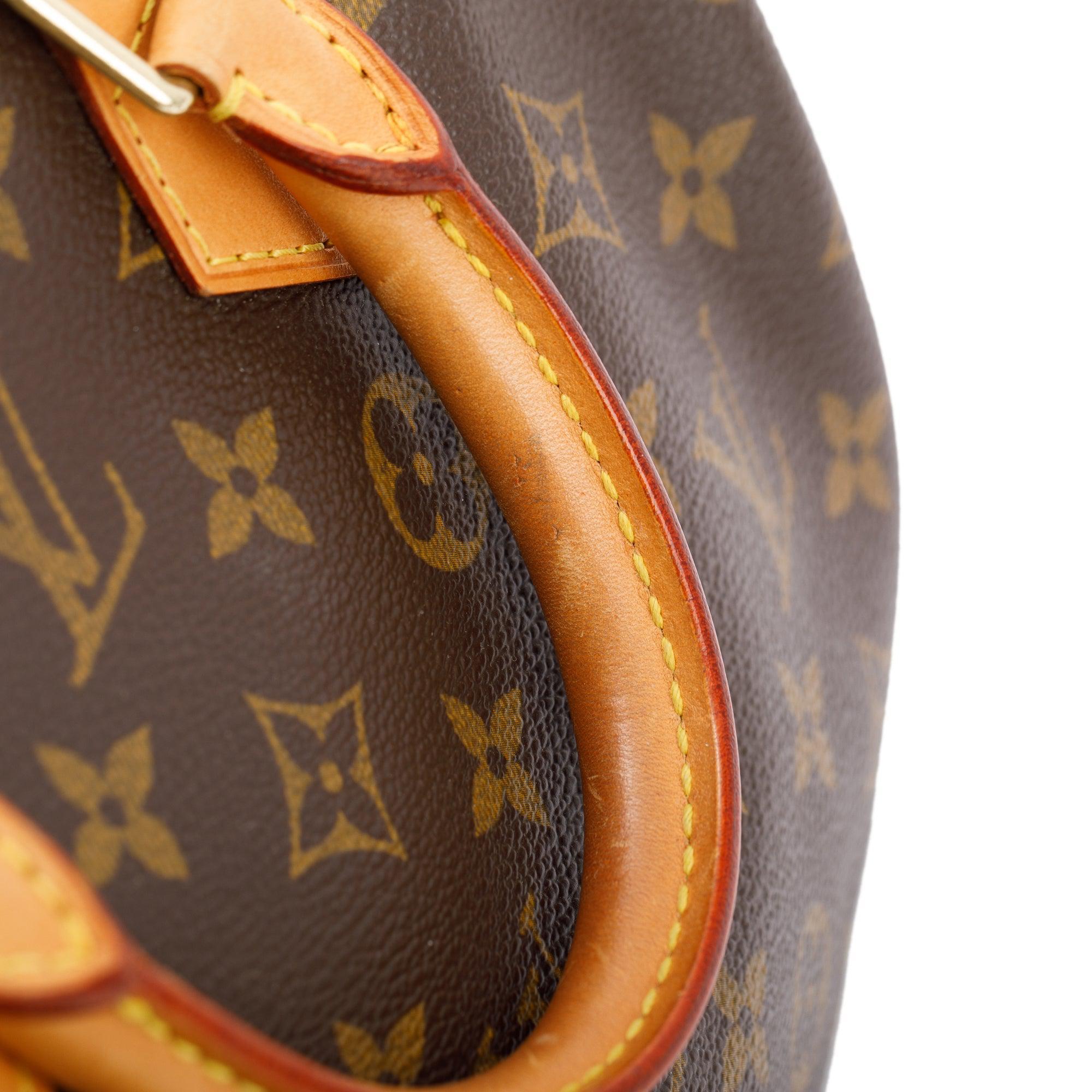 Louis Vuitton Monogram Speedy 25