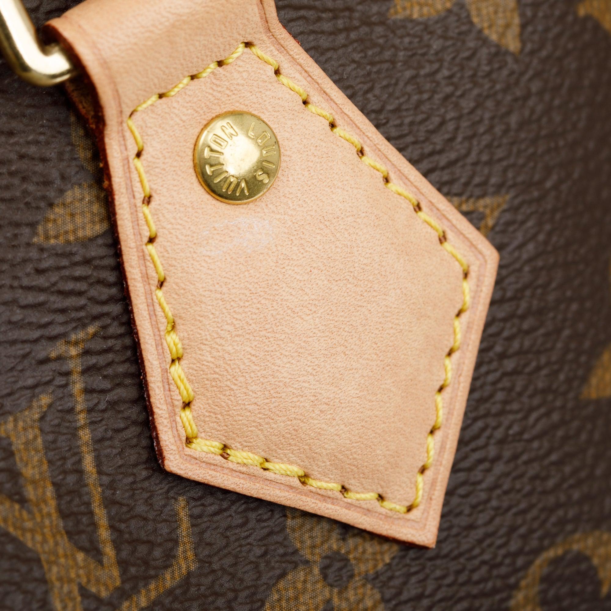 Louis Vuitton Monogram Speedy 25