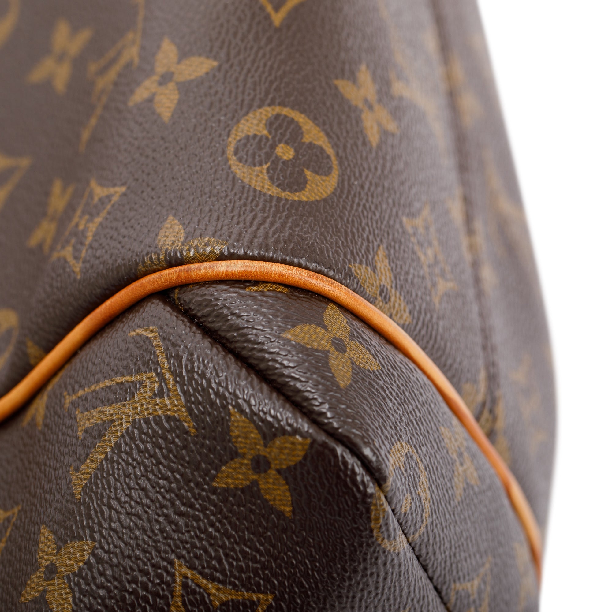 Louis Vuitton Monogram Totally PM