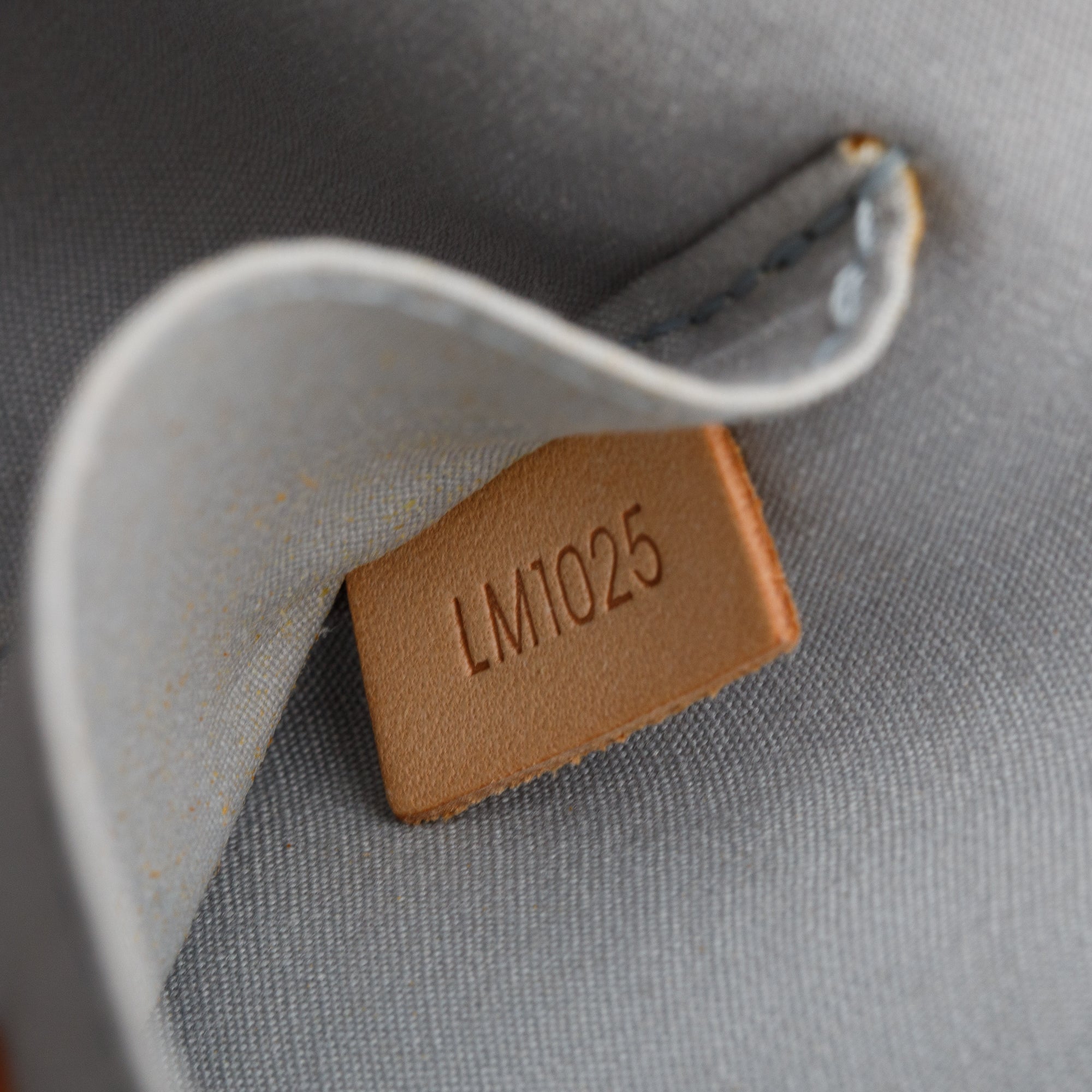 Louis Vuitton Neutral Monogram Vernis Roxbury w/ Strap