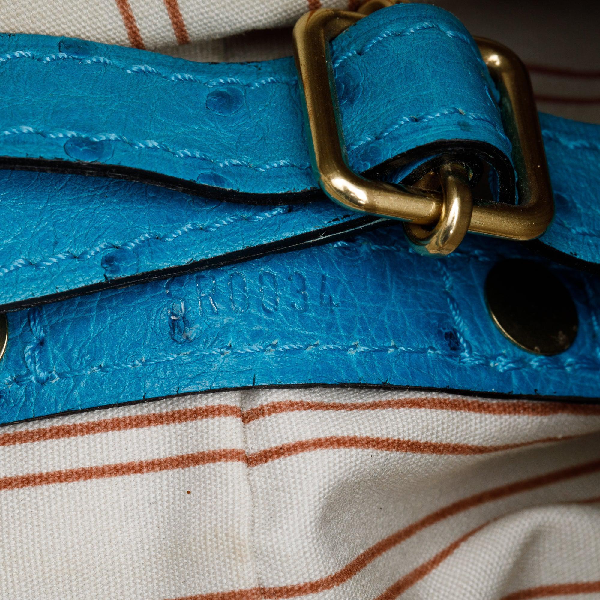 Louis Vuitton Turquiose Ostrich Sac de Nuit Toile Trianon MM Bag