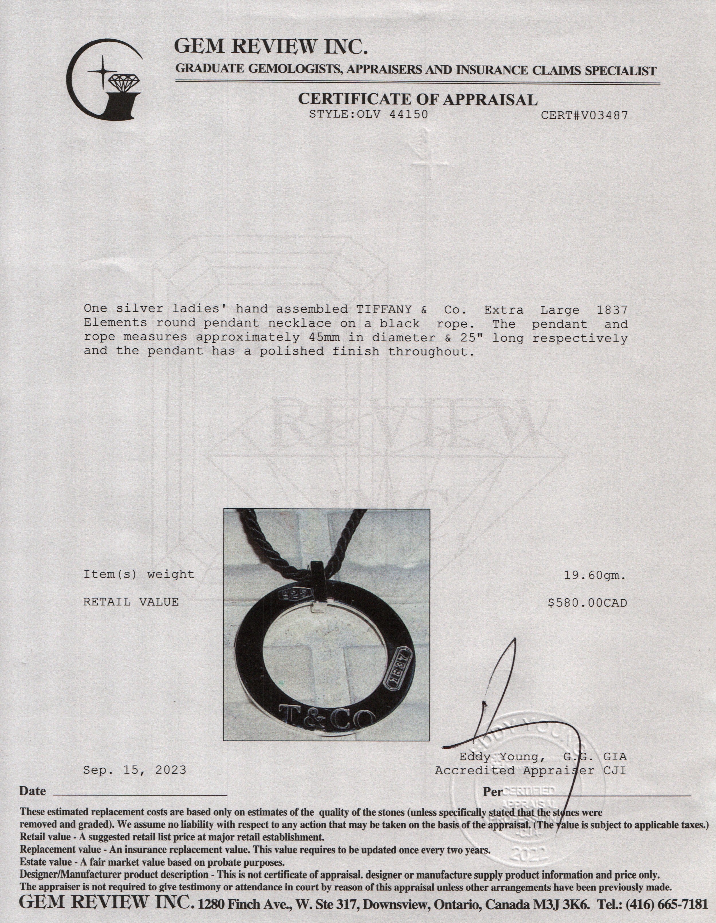 Tiffany & Co. Extra Large 45 MM 1837 Elements Round Pendant Cord Necklace