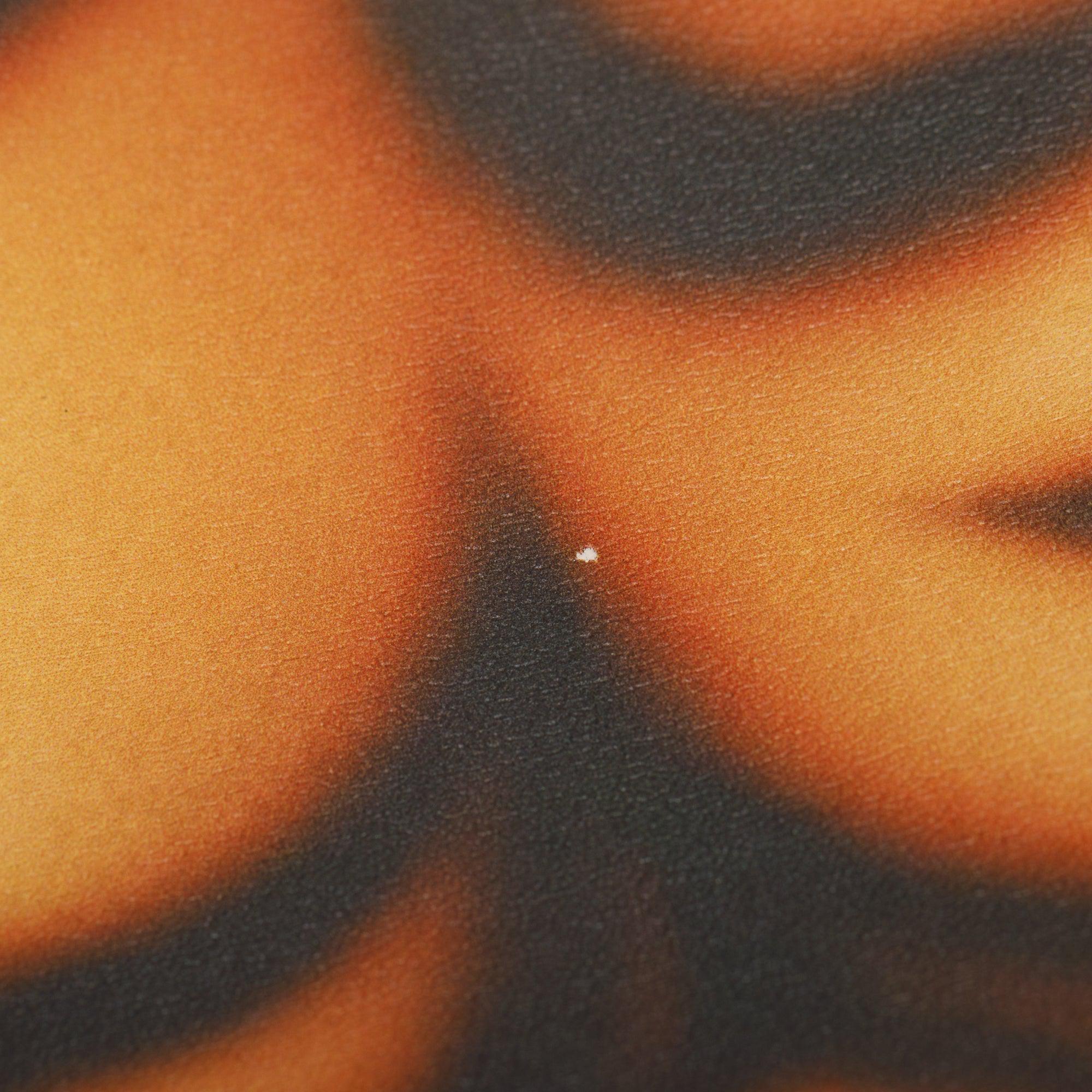 Stella McCartney Eco Tiger-Print Small Camera Crossbody Bag w/ Strap