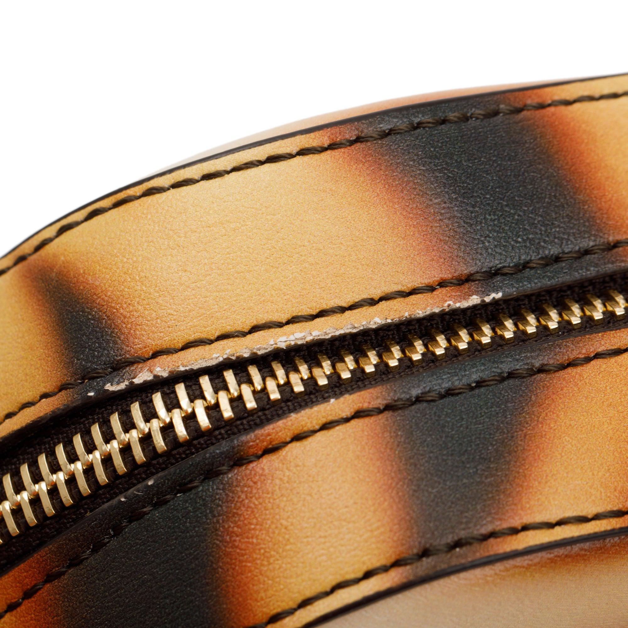 Stella McCartney Eco Tiger-Print Small Camera Crossbody Bag w/ Strap