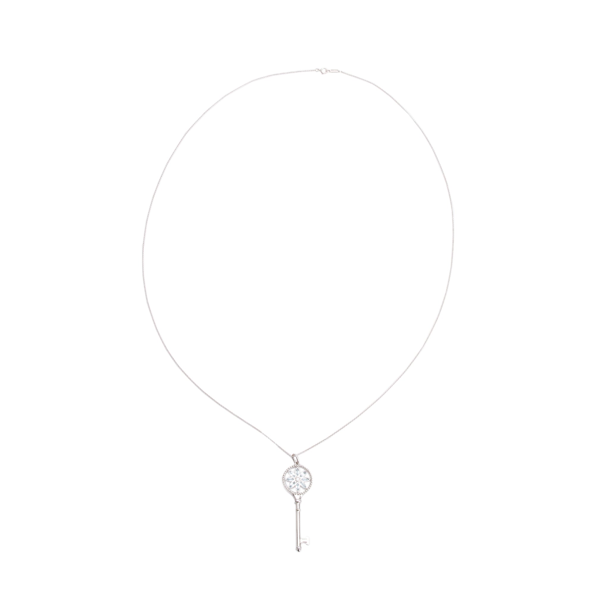 Tiffany & Co. 18k White Gold Aquamarine & Diamond Daisy Key Pendant Necklace w/ Box