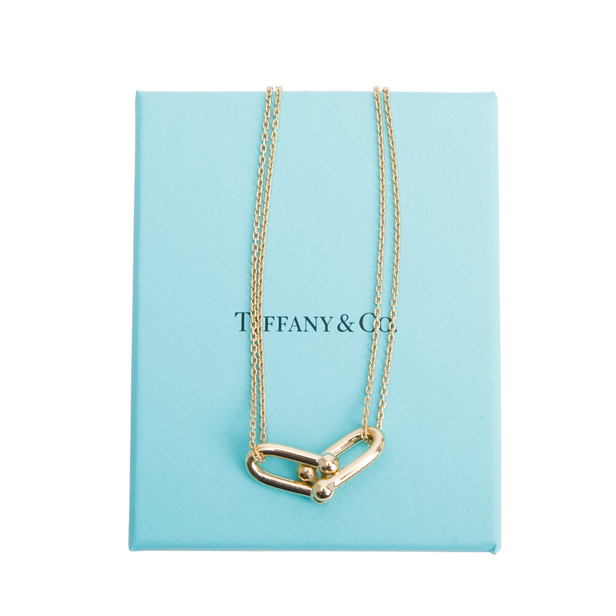 Tiffany & Co. 18k Yellow Gold HardWear Large Double Link Pendant Necklace w/ Box