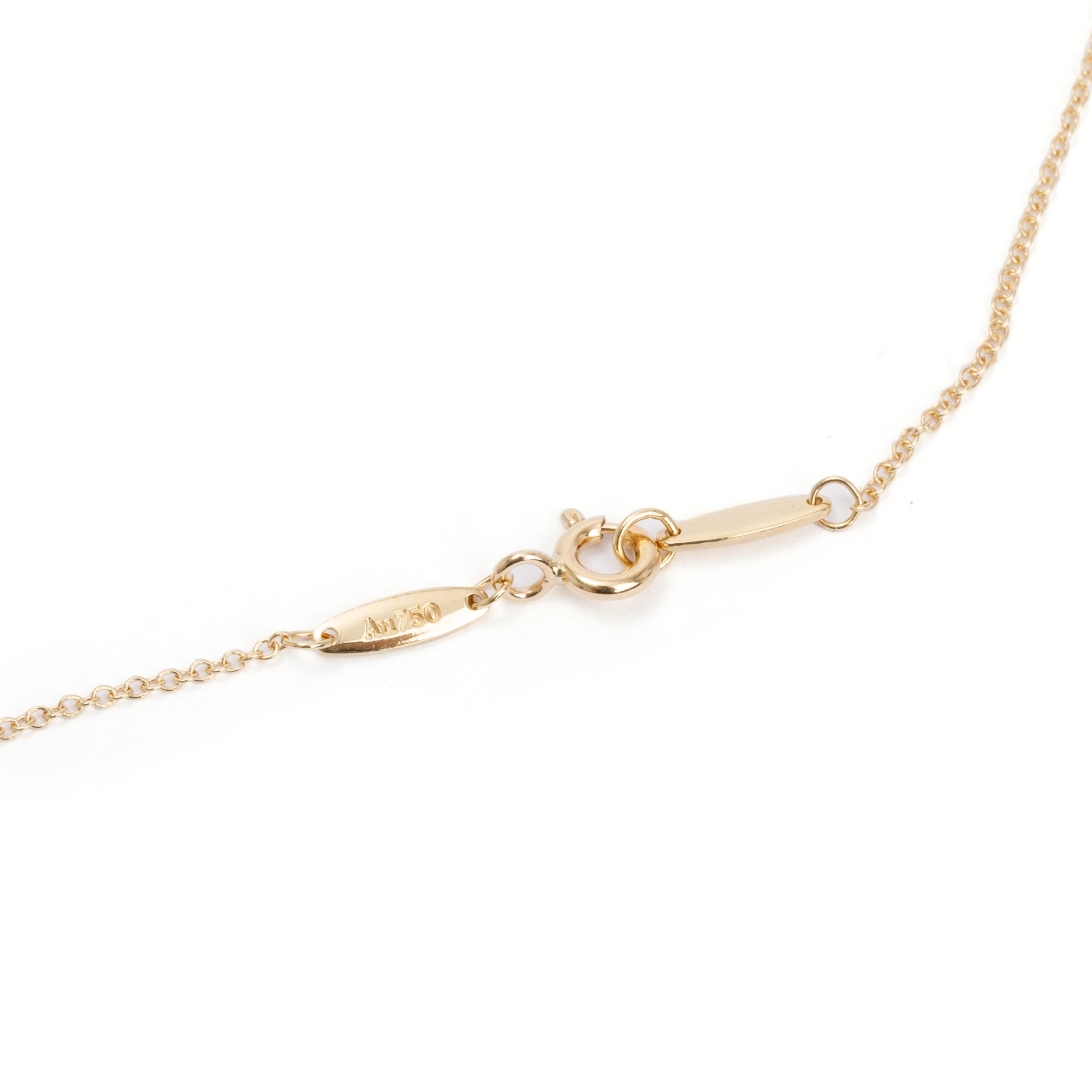 Tiffany & Co. Elsa Peretti 18k Yellow Gold Ruby Color by the Yard Pendant Necklace