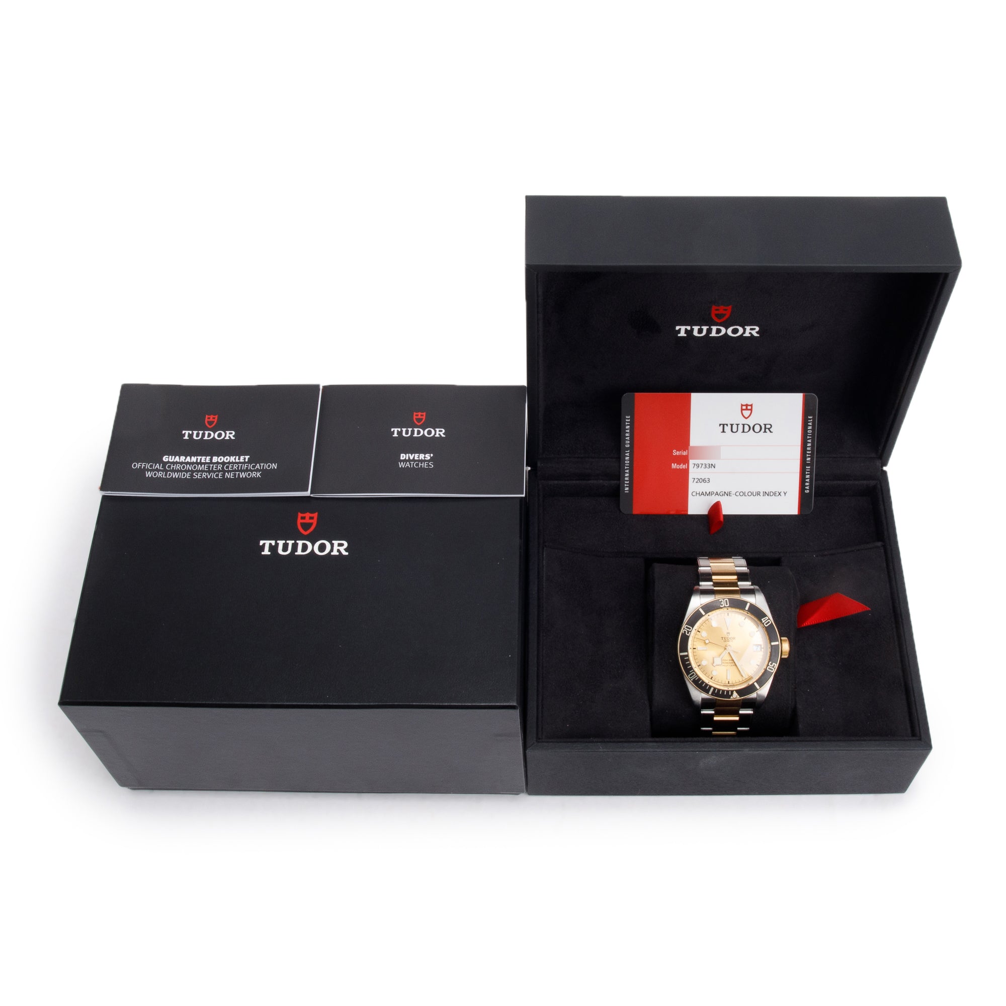 Tudor Stainless Steel & 18k Yellow Gold Black Bay 41 MM Automatic Watch 79733N w/ Box & Papers