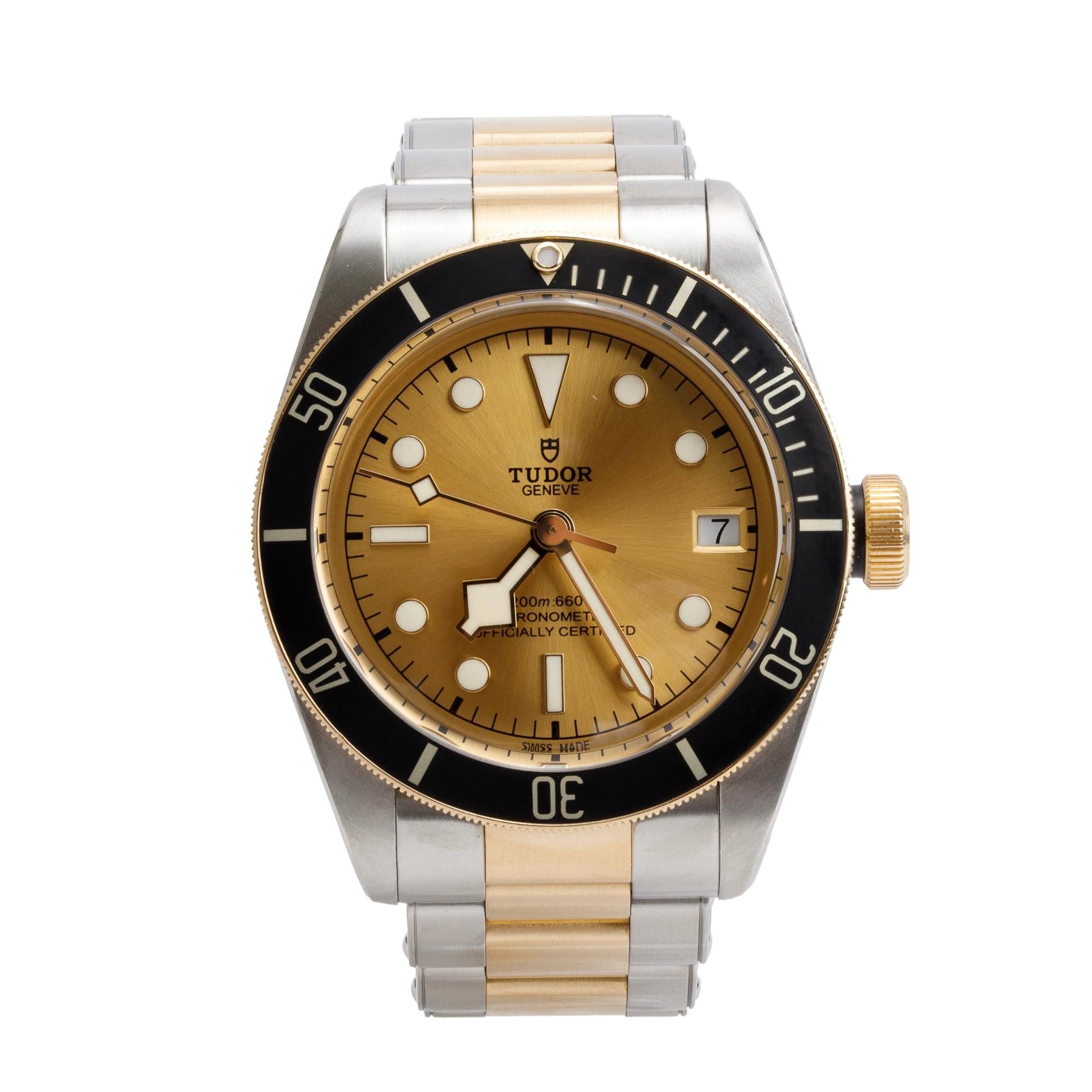 Tudor Stainless Steel & 18k Yellow Gold Black Bay 41 MM Automatic Watch 79733N w/ Box & Papers