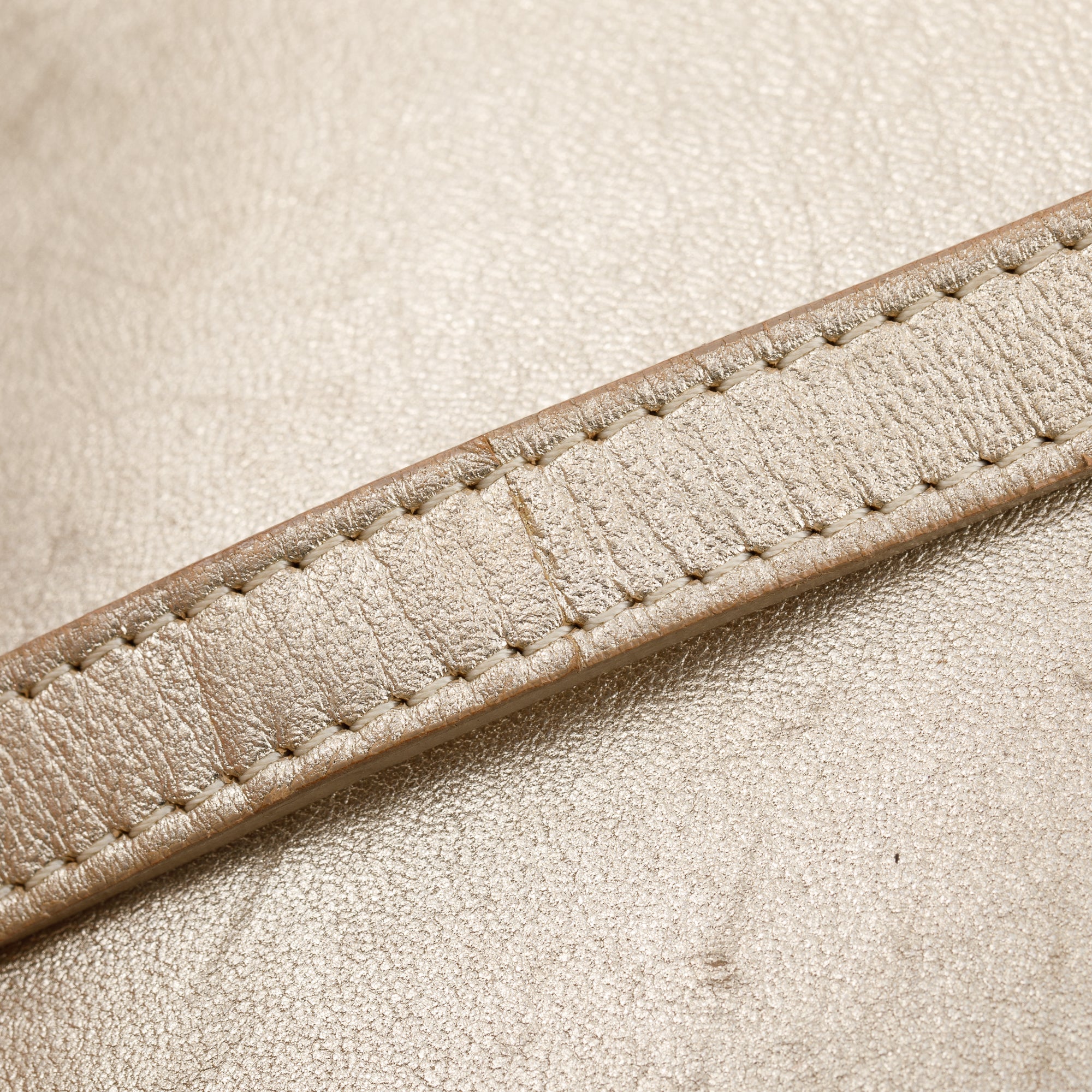 Versace Metallic Gold Palazzo Camera Bag