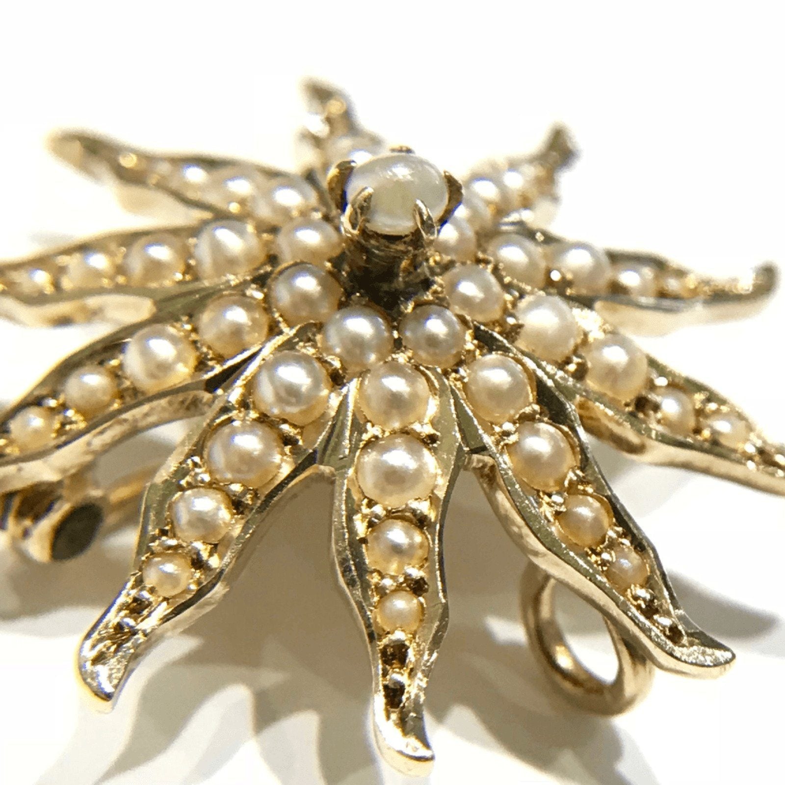 14K Yellow Gold Pearls in Sunburst Design Brooch