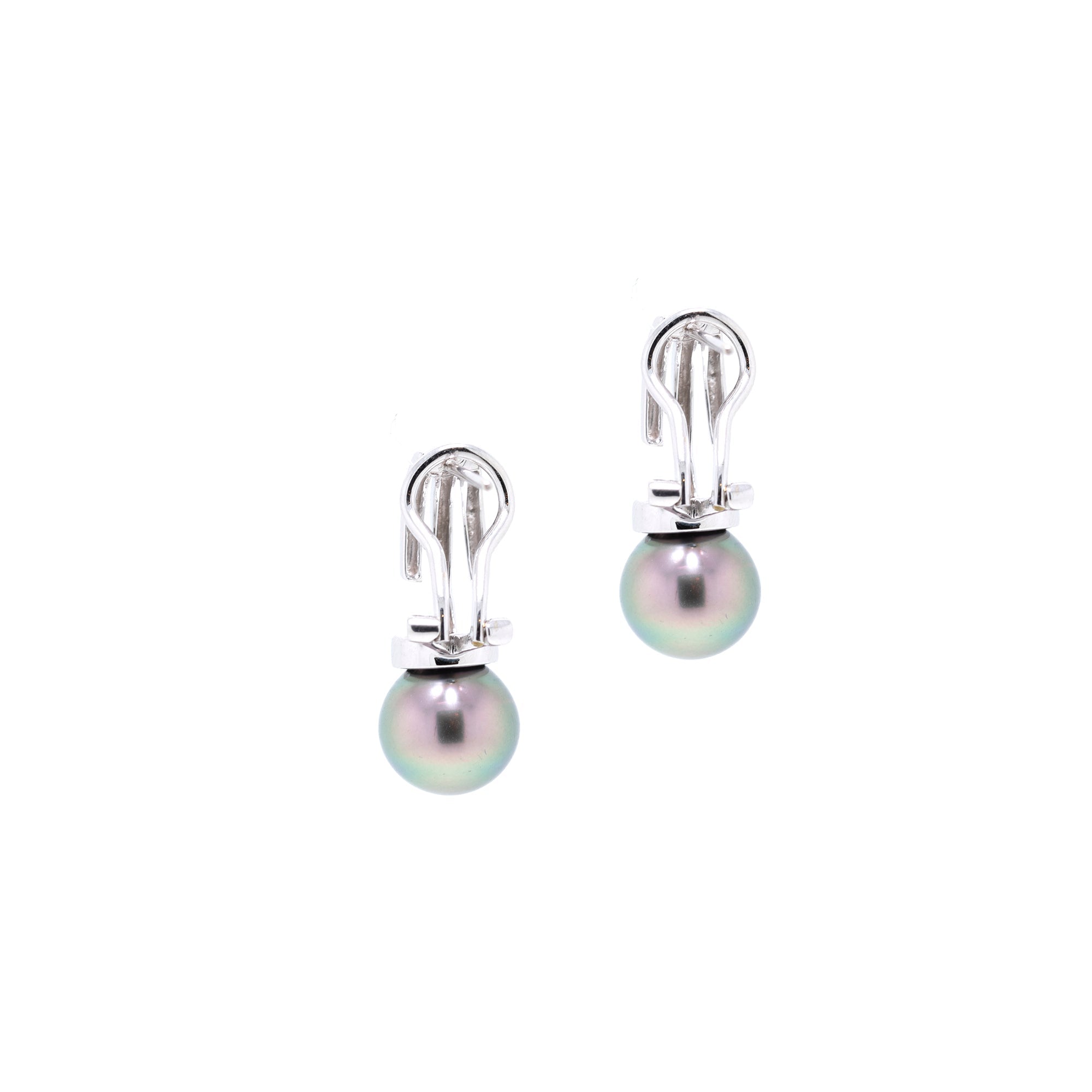 14k White Gold South Sea Pearl Earrings