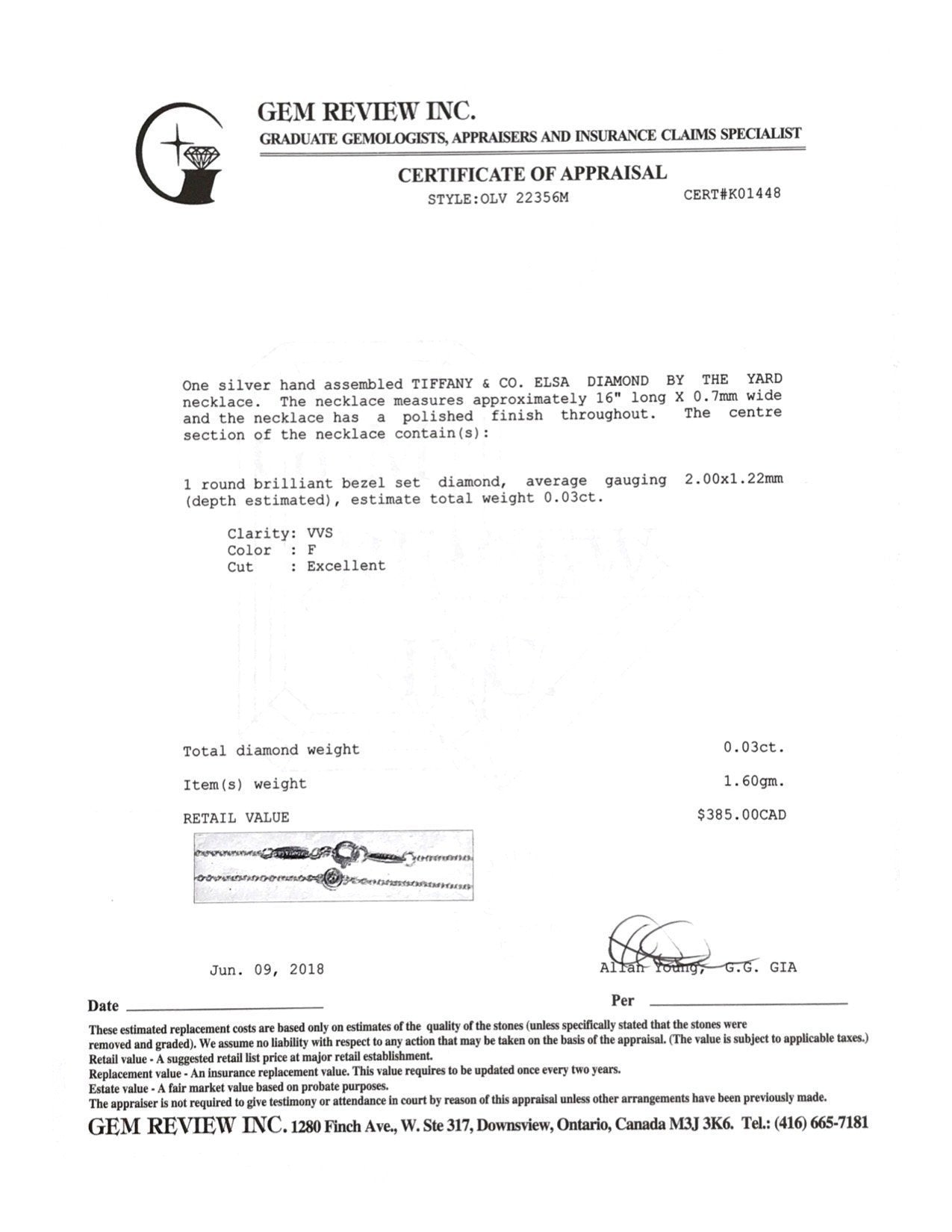 Tiffany & Co. Elsa Peretti Diamond By the Yard Pendant Necklace