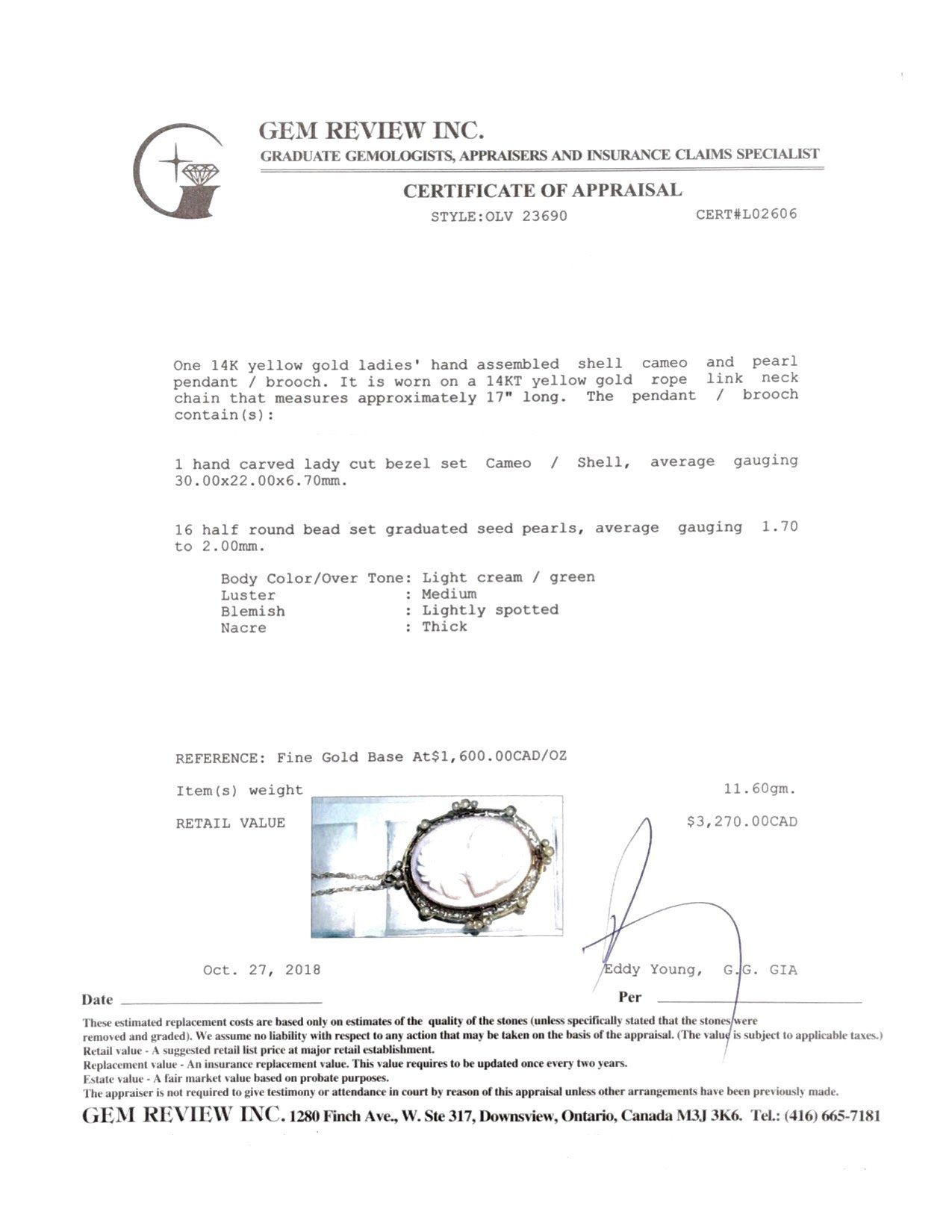 Antique Pink Cameo Brooch/Pendant Necklace