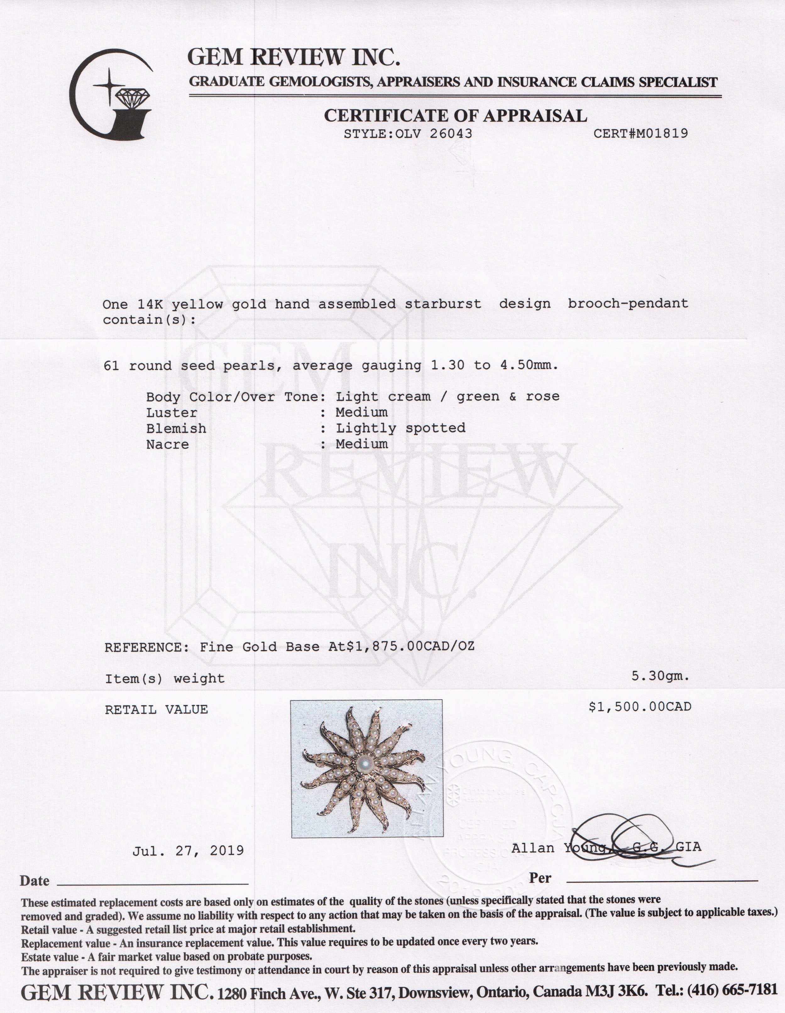 Antique Seed Pearl Starburst Brooch/Pendant