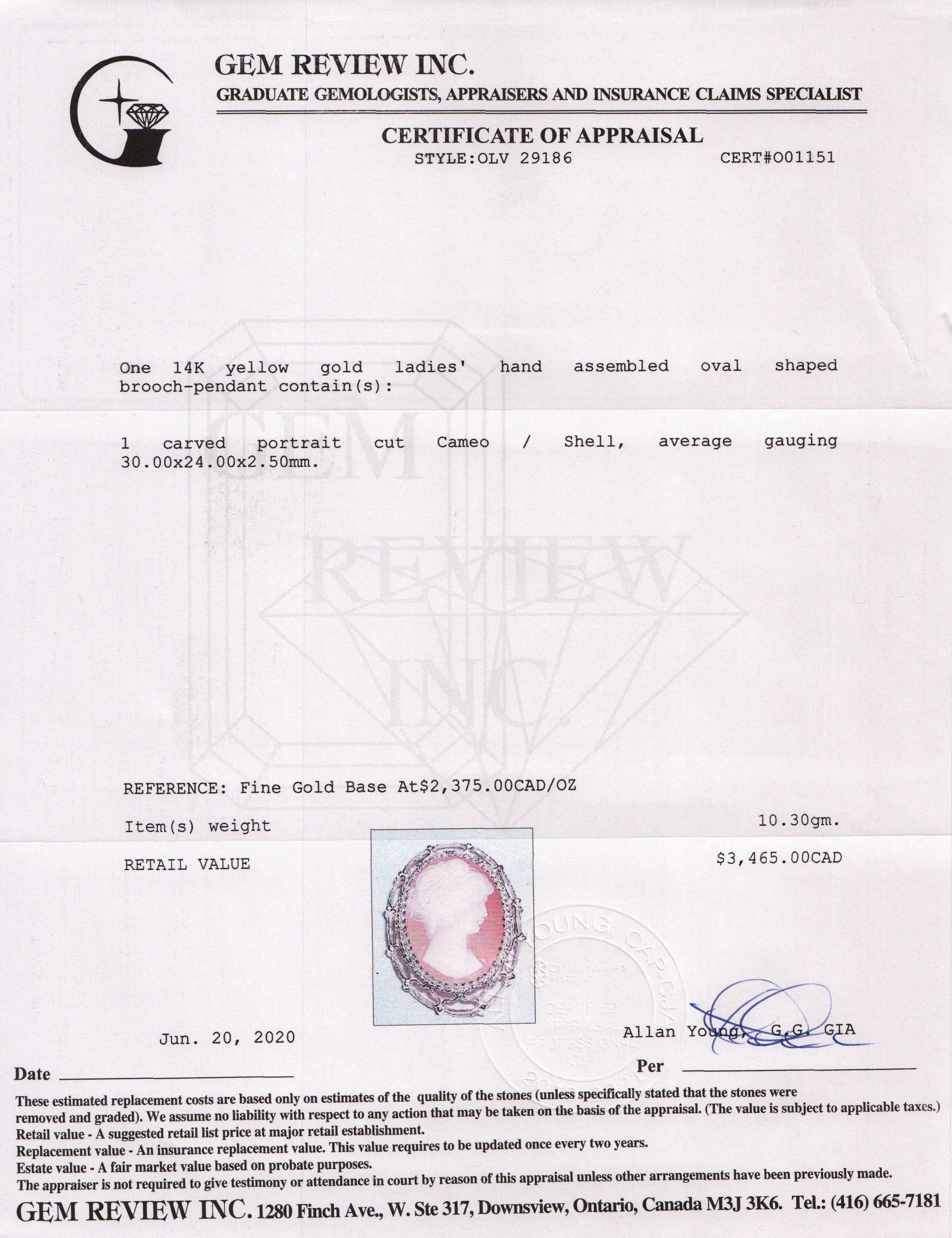 Antique Cameo Brooch/Pendant