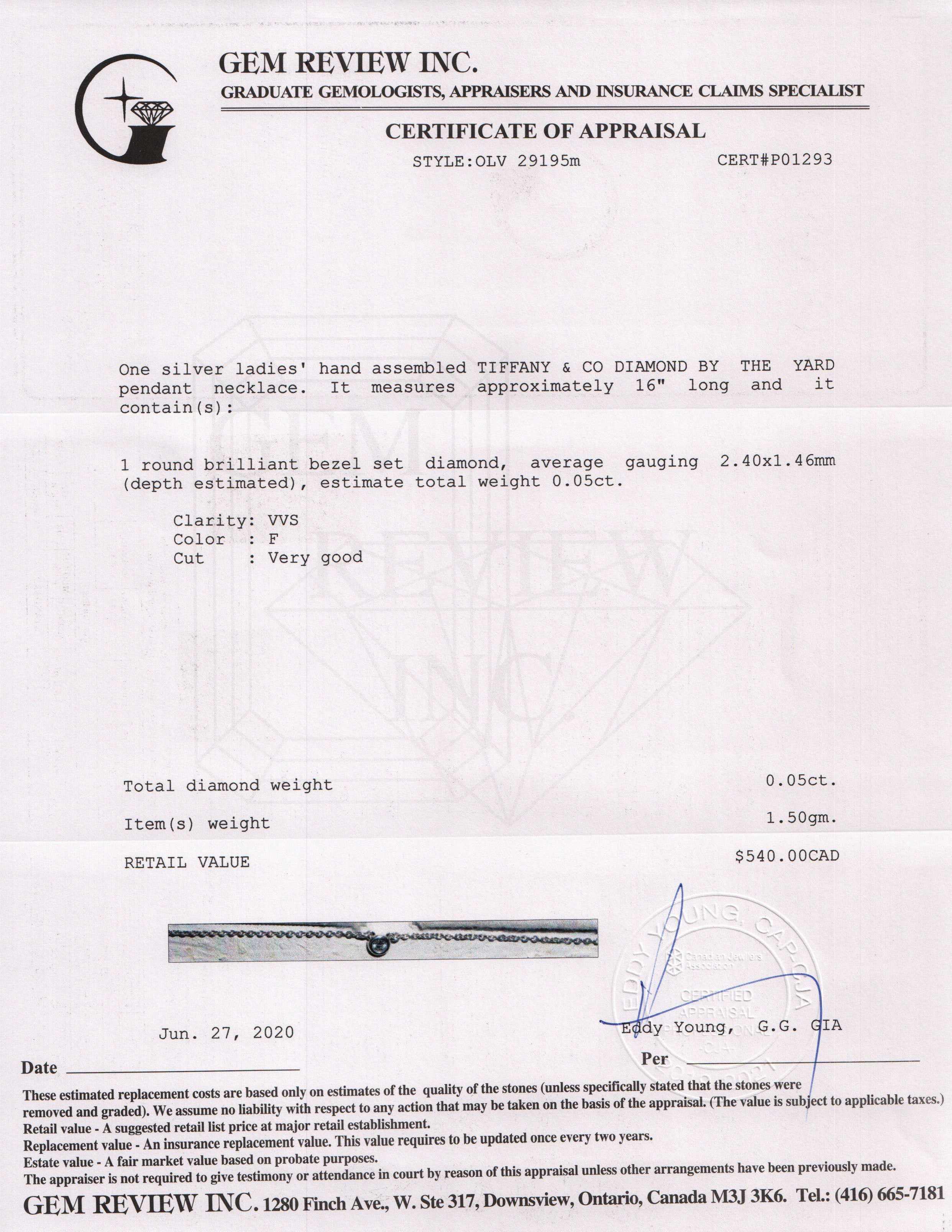 Tiffany & Co. Elsa Peretti Diamonds by the Yard Pendant Necklace