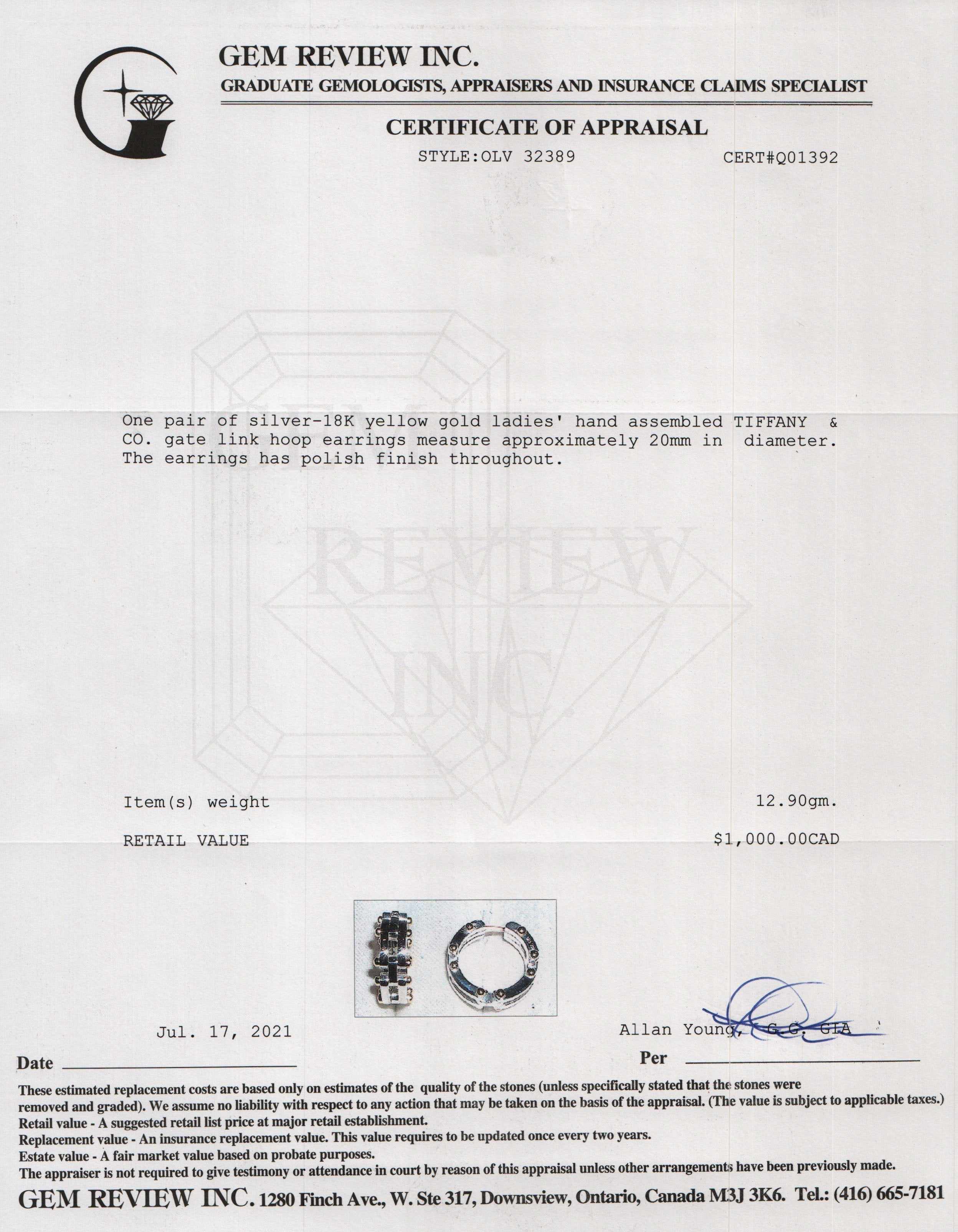 Tiffany & Co. Two-Tone Gate Link Hoop Earrings