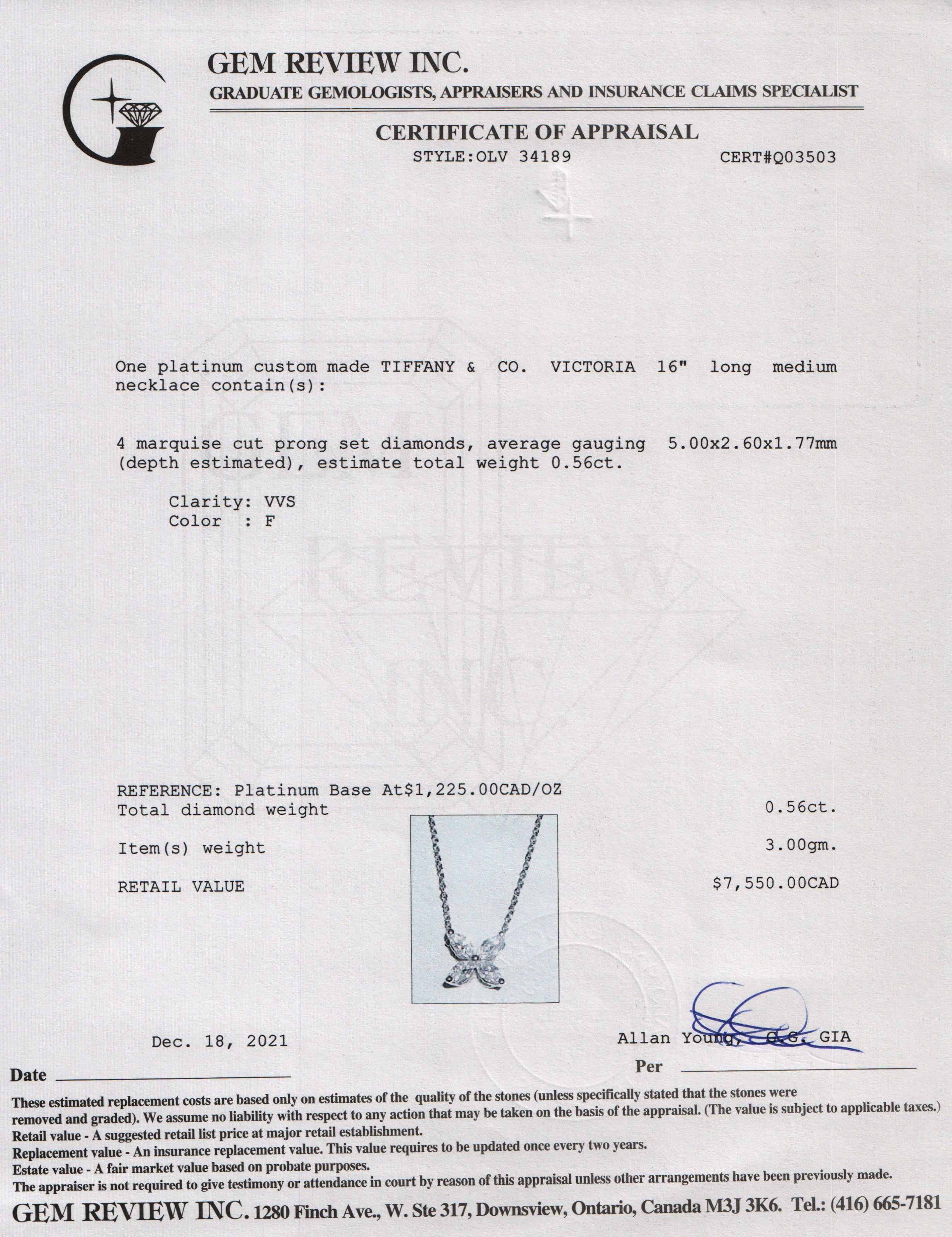 Tiffany & Co. Platinum Diamond Medium Victoria Pendant Necklace