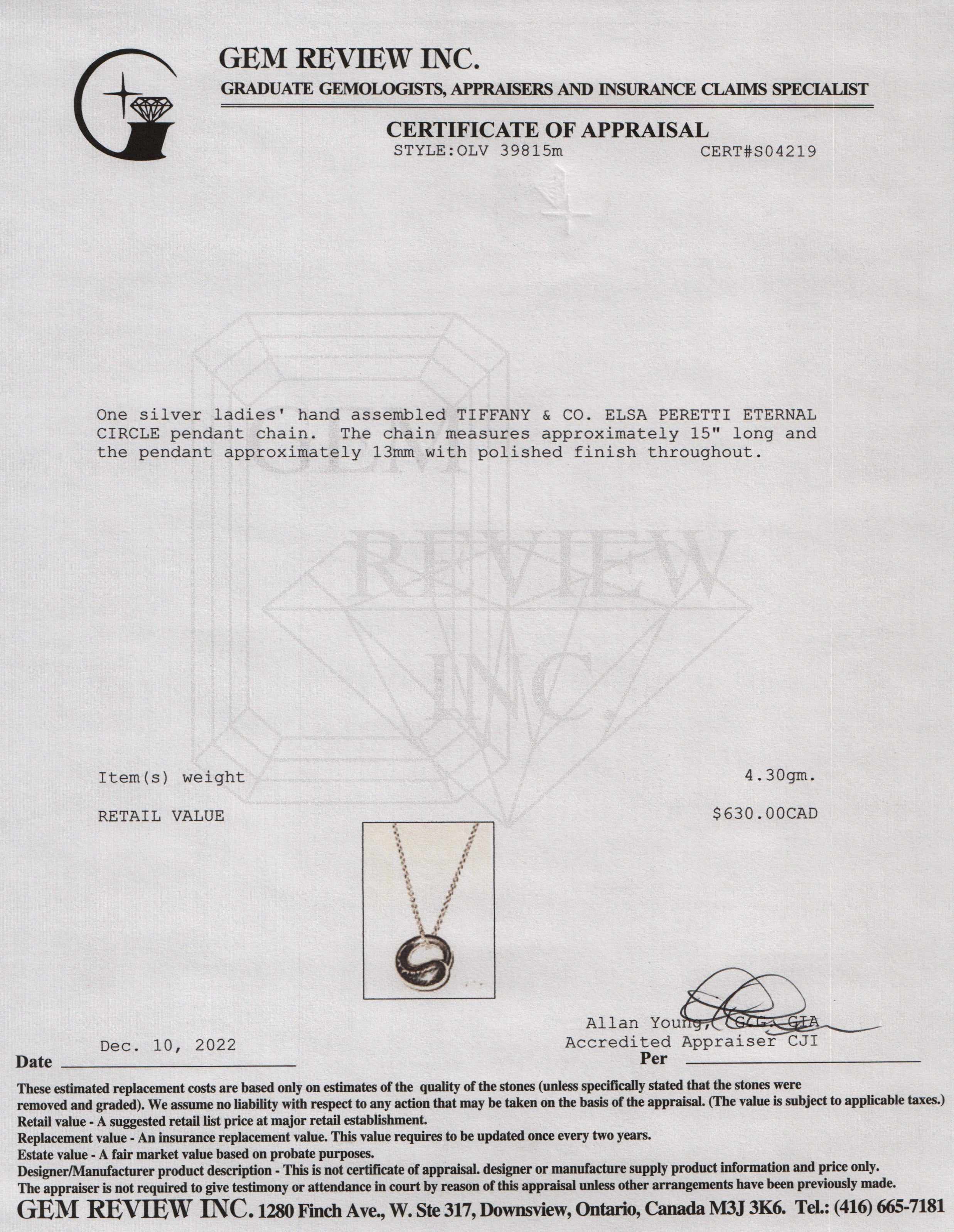 Tiffany & Co. Elsa Peretti Eternal Circle Pendant Necklace