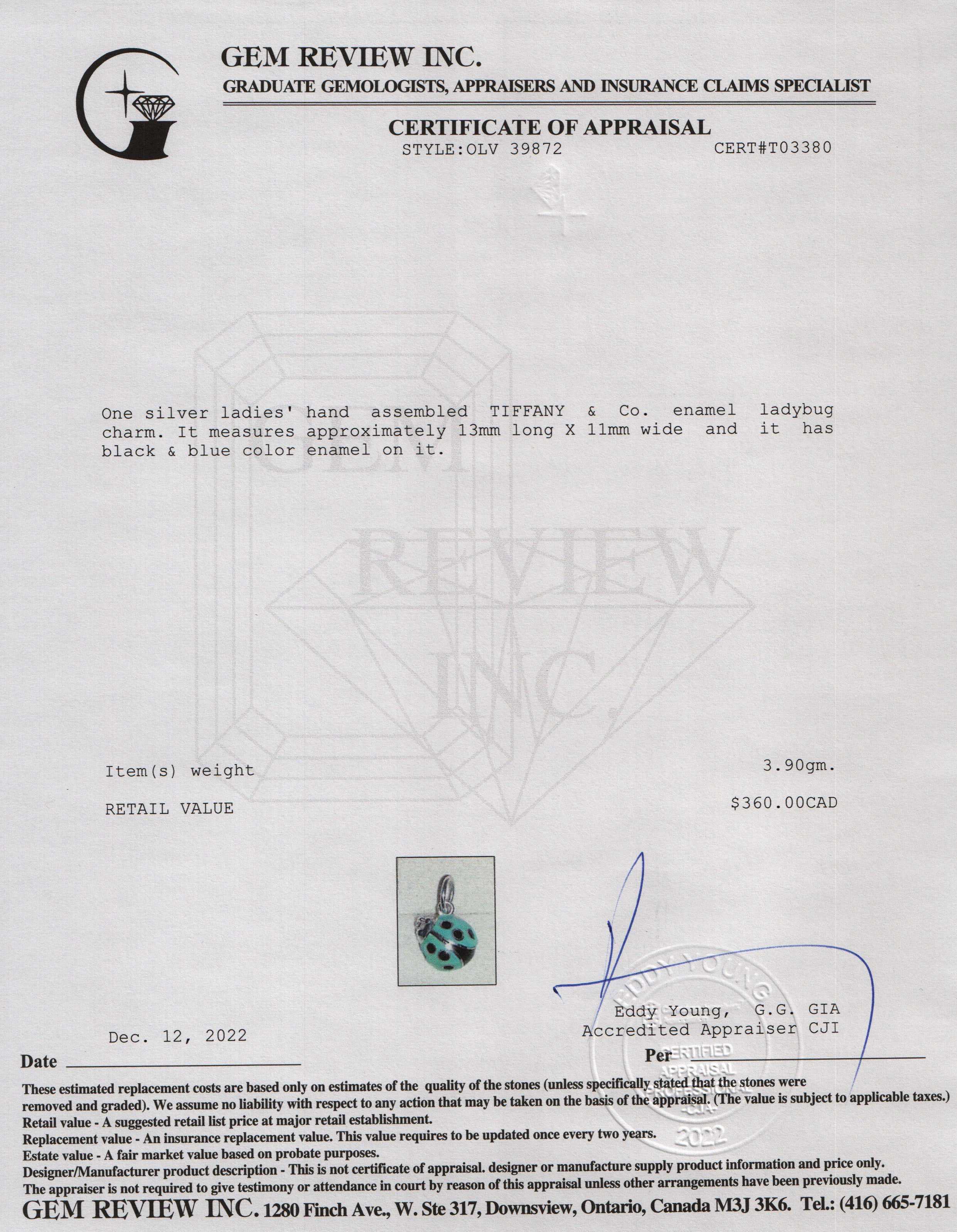 Tiffany & Co. Enamel Ladybug Charm